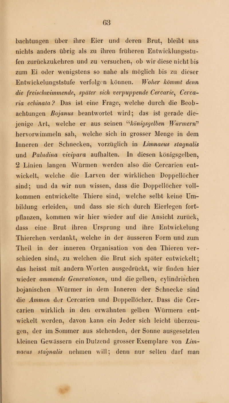 68 bachtungen über ihre Eier und deren Brut, bleibt uns nichts anders übrig als zu ihren früheren Entwicklungsstu¬ fen zurückzukehren und zu versuchen, ob wir diese nicht bis zum Ei oder wenigstens so nahe als möglich bis zu dieser Entwickelungststufe verfolge n können. Woher kömmt denn die freischwimmende, später sich verpuppende Cercarie, Cerca- ria echinala? Das ist eine Frage, welche durch die Beob¬ achtungen ßojanus beantwortet wird; das ist gerade die¬ jenige Art, welche er aus seinen ukönigsgelben Würmern” hervorwimmeln sah, welche sich in grosser Menge in dem Inneren der Schnecken, vorzüglich in Limnaeus slagnalis und Paludina vivipara aufhalten. In diesen königsgelben, 2 Linien langen Würmen werden also die Cercarien ent¬ wickelt, welche die Larven der wirklichen Doppellöcher sind; und da wir nun wissen, dass die Doppellöcher voll¬ kommen entwickelte Thiere sind, welche selbt keine Um¬ bildung erleiden, und dass sie sich durch Eierlegen fort¬ pflanzen, kommen wir hier wieder auf die Ansicht zurück, dass eine Brut ihren Ursprung und ihre Entwickelung Thierchen verdankt, welche in der äusseren Form und zum Tlieil in der inneren Organisation von den Thieren ver¬ schieden sind, zu welchen die Brut sich später entwickelt; das heisst mit andern Worten ausgedrückt, wir finden hier wieder ammende Generationen, und die gelben, cylindrischen bojanischen Würmer in dem Inneren der Schnecke sind die Ammen der Cercarien und Doppellöcher. Dass die Cer¬ carien wirklich in den erwähnten gelben Würmern ent¬ wickelt werden, davon kann ein Jeder sich leicht überzeu¬ gen, der im Sommer aus stehenden, der Sonne ausgesetzten kleinen Gewässern ein Dutzend grosser Exemplare von Lim¬ naeus stagnalis nehmen will; denn nur selten darf man