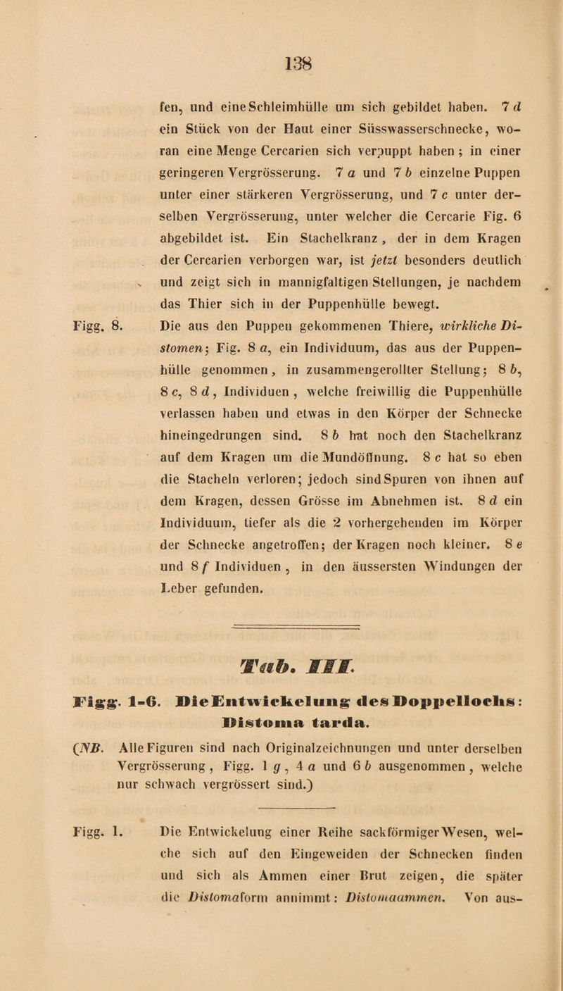 feil, und eine Schleimhülle um sich gebildet haben. 7 d ein Stück von der Haut einer Süsswasserschnecke, wo¬ ran eine Menge Cercarien sich verpuppt haben; in einer geringeren Yergrösserung. 7 a und 7 b einzelne Puppen unter einer stärkeren Yergrösserung, und 7 c unter der¬ selben Yergrösserung, unter welcher die Cercarie Fig. 6 abgebildet ist. Ein Stachelkranz , der in dem Kragen der Cercarien verborgen war, ist jetzt besonders deutlich v und zeigt sich in mannigfaltigen Stellungen, je nachdem das Thier sich in der Puppenhülle bewegt. Figg. 8. Die aus den Puppen gekommenen Thiere, wirkliche Di¬ stomen-, Fig. 8 a, ein Individuum, das aus der Puppen¬ hülle genommen, in zusammengerollter Stellung; 8 6, 8 c, 8 d, Individuen, welche freiwillig die Puppenhülle verlassen haben und etwas in den Körper der Schnecke hineingedrungen sind. 8 b hat noch den Stachelkranz auf dem Kragen um die Mundöfinung. 8 c hat so eben die Stacheln verloren; jedoch sind Spuren von ihnen auf dem Kragen, dessen Grösse im Abnehmen ist. 8 d ein Individuum, tiefer als die 2 vorhergehenden im Körper der Schnecke angetroffen; der Kragen noch kleiner. 8 e und 8 f Individuen , in den äussersten Windungen der Leber gefunden. Tab. SST 3Fia?s?- 1-6. DieEntwickeliing «les Doppelloelis; Distoma tarda. (JSB. Alle Figuren sind nach Originalzeichnungen und unter derselben Yergrösserung , Figg. 1 g , 4 a und 6 b ausgenommen , welche nur schwach vergrössert sind.) Figg. 1. Die Ent wickelung einer Reihe sackförmiger Wesen, wel¬ che sich auf den Eingeweiden der Schnecken finden und sich als Ammen einer Iirut zeigen, die später die Dislomaform annimmt: Dislutnaamtncn. Von aus-