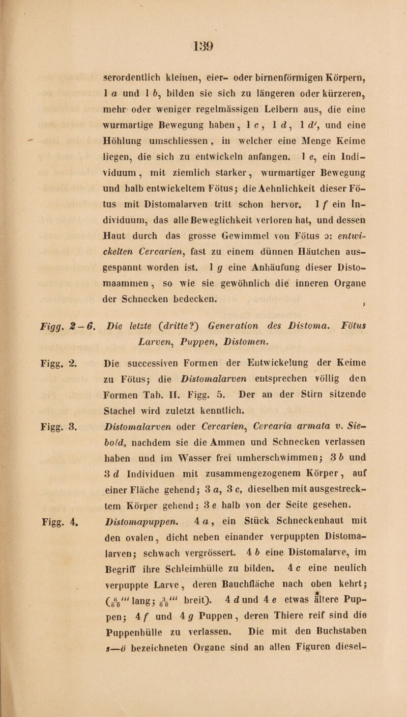 1:39 serordentlich kleinen, eier- oder birnenförmigen Körpern, 1 a und 1 6, bilden sie sich zu längeren oder kürzeren, mehr oder weniger regelmässigen Leibern aus, die eine wurmartige Bewegung haben, 1 c, 1 d, 1 d\ und eine Höhlung umschliessen, in welcher eine Menge Keime liegen, die sich zu entwickeln anfangen. 1 e, ein Indi¬ viduum , mit ziemlich starker, wurmartiger Bewegung und halb entwickeltem Fötus; die Aehnlichkeit dieser Fö¬ tus mit Distomalarven tritt schon hervor. 1 f ein In¬ dividuum, das alle Beweglichkeit verloren hat, und dessen Haut durch das grosse Gewimmel von Fötus o: entwi¬ ckelten Cercarien, fast zu einem dünnen Häutchen aus¬ gespannt worden ist. 1 g eine Anhäufung dieser Disto- maammen , so wie sie gewöhnlich die inneren Organe der Schnecken bedecken. Figg. 2- -6, Die letzte (dritte?) Generation des Distoma. Fötus Larven, Puppen, Distomen. Figg. 2. Die successiven Formen der Entwickelung der Keime zu Fötus; die Distomalarven entsprechen völlig den Formen Tah. II. Figg. 5. Der an der Stirn sitzende Stachel wird zuletzt kenntlich. Figg. 3. Distomalarven oder Cercarien, Cercaria armata v. Sie- hold, nachdem sie die Ammen und Schnecken verlassen haben und im Wasser frei umherschwimmen; Sb und 3 d Individuen mit zusammengezogenem Körper, auf einer Fläche gehend; 3 a, 3 c, dieselben mit ausgestreck¬ tem Körper gehend; 3e halb von der Seite gesehen. Figg. 4. Distomapuppen. 4a, ein Stück Schneckenhaut mit den ovalen, dicht neben einander verpuppten Distoma¬ larven; schwach vergrössert. 4 6 eine Distomalarve, im Begriff ihre Schleimhülle zu bilden. 4 c eine neulich verpuppte Larve, deren Bauchfläche nach oben kehrt; lang; gy breit). 4dund 4e etwas ältere Pup¬ pen; 4 f und 4 g Puppen, deren Thiere reif sind die Puppenbülle zu verlassen. Die mit den Buchstaben 5—ö bezeichnten Organe sind an allen Figuren diesel-