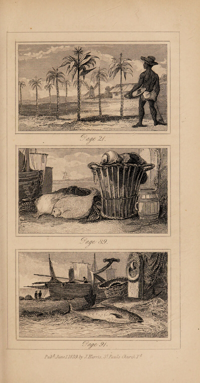 COTTON. 185 process, by which net-lace, stockings, and indeed every kind of chain work, is produced, is most ex¬ tensively practised at Nottingham, Leicester, and in the neighbouring districts. 44 The printing of cotton, a very ingenious pro¬ cess, of which I shall hereafter take notice, is carried on at many places : and some of the best work, known by the name of town print, is done in Lon¬ don and its vicinity. 44 The great advantage of skill in manufactures appears strikingly in cotton. One pound of East- India cotton in wool, has, when spun into yarn, been raised in value to five guineas ; and, afterwards, when woven into muslin and ornamented with needlework, it has been worth fifteen pounds ; yielding a profit of almost six thousand per cent, on the raw material. 44 Seventy years ago, the cotton trade in Great Britain was very insignificant; and even fifty years since the whole value of cotton goods manufactured by us did not amount to two millions sterling ; yet the price to the consumer was very high. At pre¬ sent, the goods manufactured every year in this coun¬ try are worth more than thirty millions Stirling, al¬ though the price is not much above a tenth of what it formerly was : so that we may safely affirm the value of the manufacture has increased a hundred¬ fold in fifty years. 44 Hindoostan is the country whence fine cottons were first imported into Europe ; and many of the names given to cotton fabrics are of Hindoo origin. At present, so completely is the case altered, we have in Great Britain at least five millions of mule spindles, for so is the machinery called which spins r 3