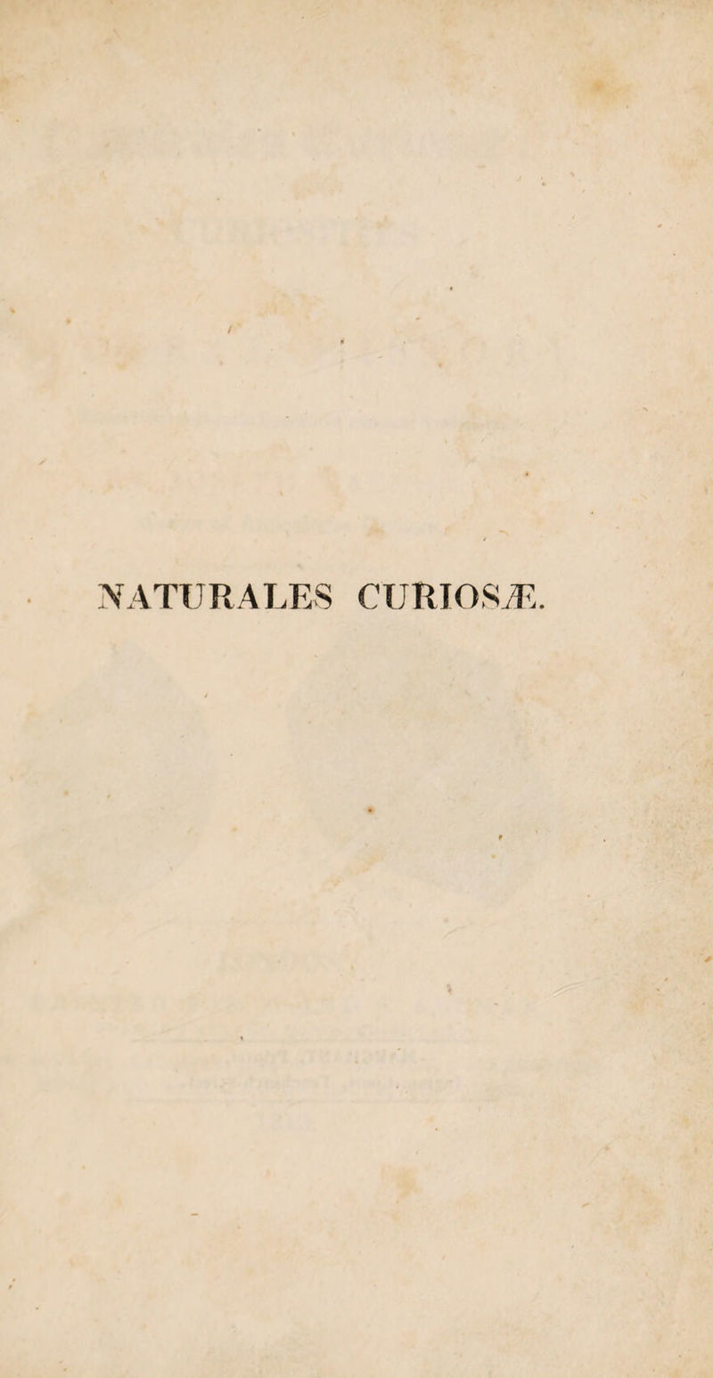 NATIJRALES CURIOS/E.