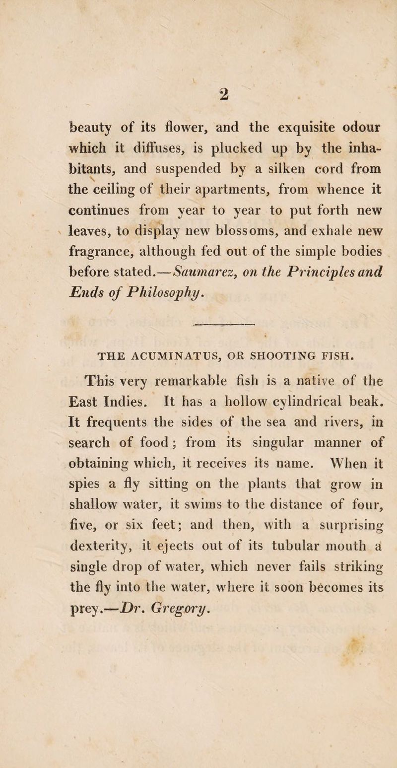 beauty of its flower, and the exquisite odour which it diffuses, is plucked up by the inha¬ bitants, and suspended by a silken cord from the ceiling of their apartments, from whence it continues from year to year to put forth new leaves, to display new blossoms, and exhale new fragrance, although fed out of the simple bodies before stated.—Saumarez, on the Principles and Ends of Philosophy. THE ACUMINATUS, OR SHOOTING FISH. This very remarkable fish is a native of the East Indies. It has a hollow cylindrical beak. It frequents the sides of the sea and rivers, in search of food; from its singular manner of obtaining which, it receives its name. When it spies a fly sitting on the plants that grow in shallow water, it swims to the distance of four, five, or six feet; and then, with a surprising dexterity, it ejects out of its tubular mouth a single drop of water, which never fails striking the fly into the water, where it soon becomes its prey.—Dr. Gregory.