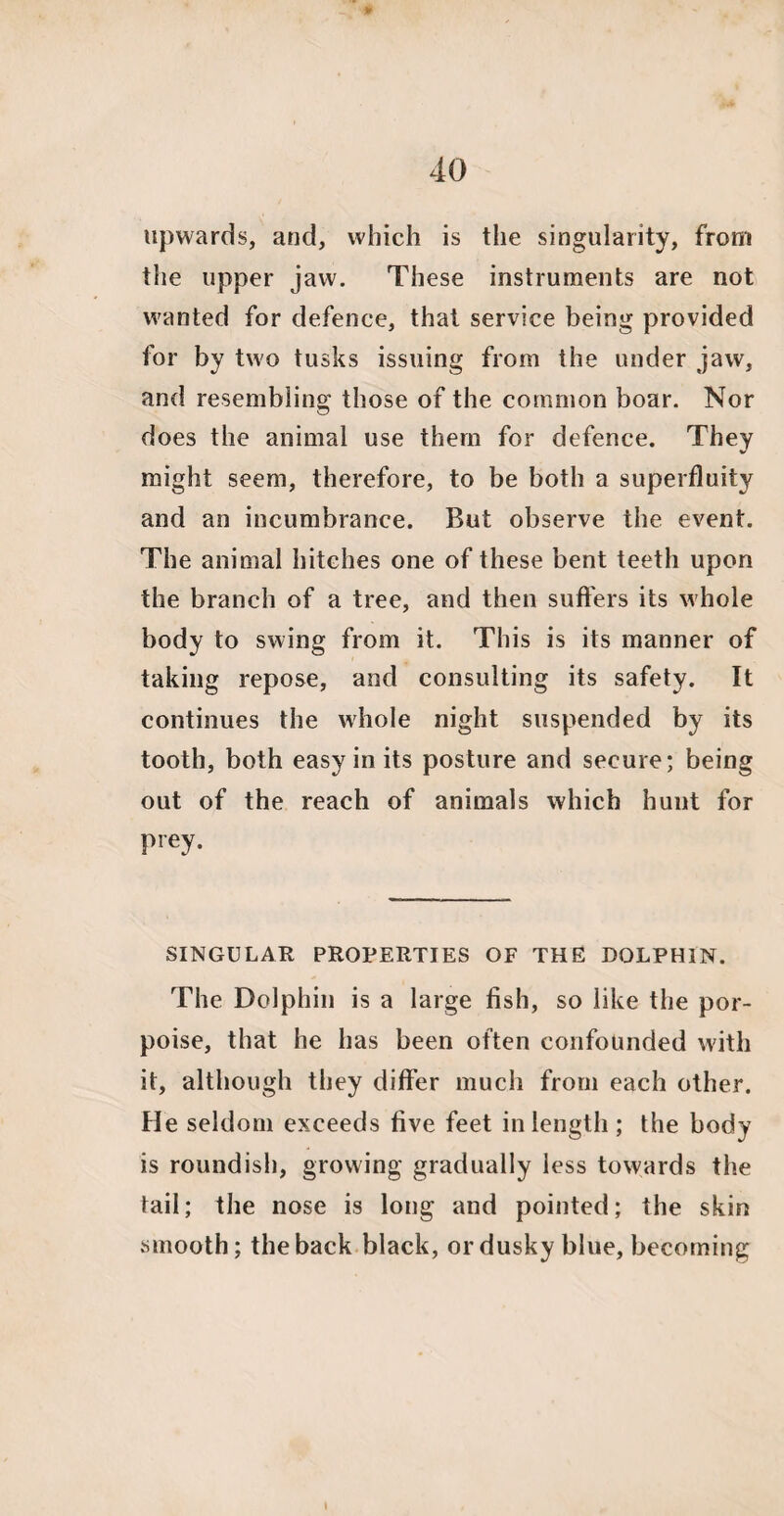upwards, and, which is the singularity, from the upper jaw. These instruments are not wanted for defence, that service being provided for by two tusks issuing from the under jaw, and resembling those of the common boar. Nor does the animal use them for defence. They might seem, therefore, to be both a superfluity and an incumbrance. But observe the event. The animal hitches one of these bent teeth upon the branch of a tree, and then suffers its whole body to swing from it. This is its manner of taking repose, and consulting its safety. It continues the whole night suspended by its tooth, both easy in its posture and secure; being out of the reach of animals which hunt for Pr«y. SINGULAR PROPERTIES OF THE DOLPHIN. The Dolphin is a large fish, so like the por¬ poise, that he has been often confounded with it, although they differ much from each other. He seldom exceeds five feet in length ; the body is roundish, growing gradually less towards the tail; the nose is long and pointed; the skin smooth; the back black, or dusky blue, becoming