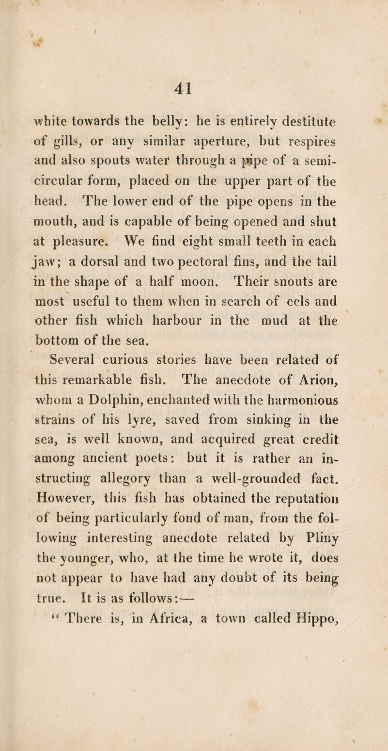 white towards the belly: he is entirely destitute of gills, or any similar aperture, but respires and also spouts water through a pipe of a semi¬ circular form, placed on the upper part of the head. The lower end of the pipe opens in the mouth, and is capable of being opened and shut at pleasure. We find eight small teeth in each jaw; a dorsal and two pectoral fins, and the tail in the shape of a half moon. Their snouts are most useful to them when in search of eels and other fish which harbour in the mud at the bottom of the sea. Several curious stories have been related of this remarkable fish. The anecdote of Arion, whom a Dolphin, enchanted with the harmonious strains of his lyre, saved from sinking in the sea, is well known, and acquired great credit among ancient poets: but it is rather an in¬ structing allegory than a well-grounded fact. However, this fish has obtained the reputation of being particularly fond of man, from the fol¬ lowing interesting anecdote related by Pliny the younger, who, at the time he wrote it, does not appear to have had any doubt of its being true. It is as follows: — “ There is, in Africa, a town called Hippo,