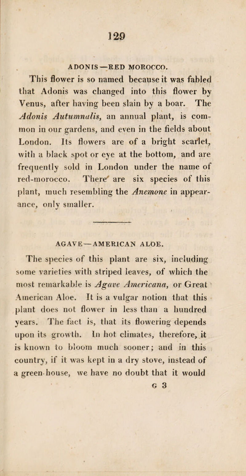 ADONIS—RED MOROCCO. This flower is so named because it was fabled that Adonis was changed into this flower by Venus, after having been slain by a boar. The \ Adonis Autumnalis, an annual plant, is com¬ mon in our gardens, and even in the fields about London. Its flowers are of a bright scarlet, with a black spot or eye at the bottom, and are frequently sold in London under the name of red-morocco. There' are six species of this plant, much resembling the Anemone iu appear¬ ance, only smaller. AGAVE —AMERICAN ALOE. The species of this plant are six, including some varieties with striped leaves, of which the most remarkable is Agave Americana, or Great American Aloe. It is a vulgar notion that this plant does not flower in less than a hundred years. The fact is, that its flowering depends upon its growth. In hot climates, therefore, it is known to bloom much sooner; and in this country, if it was kept in a dry stove, instead of a green house, we have no doubt that it would G 3