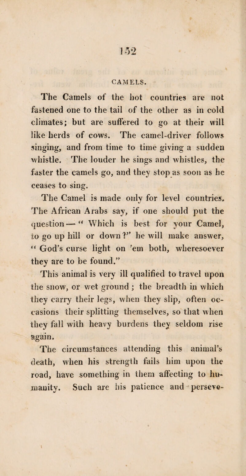 CAMELS. The Camels of the hot countries are not fastened one to the tail of the other as in cold climates; but are suffered to go at their will like herds of cows. The camel-driver follows singing, and from time to time giving a sudden whistle. The louder he sings and whistles, the faster the camels go, and they stop as soon as he ceases to sing. The Camel is made only for level countries. The African Arabs say, if one should put the question — “ Which is best for your Camel, to go up hill or down V’ he will make answer, “ God’s curse light on ’em both, wheresoever they are to be found.” This animal is very ill qualified to travel upon the snow, or wet ground ; the breadth in which they carry their legs, when they slip, often oc¬ casions their splitting themselves, so that when they fall with heavy burdens they seldom rise again. The circumstances attending this animal’s death, when his strength fails him upon the road, have something in them affecting to hu¬ manity. Such are his patience and - perseve-