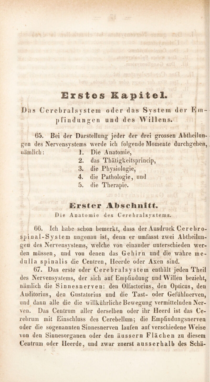 D a s C c r e b r a Ls y s t e m oder das System der E m - p fin dun gen und des Willens. 65. Bei der Darstellung* jeder der drei grossen Abteilun- gen des Nervensystems werde ich folgende Momente durchgehen, nämlich: 1. Die Anatomie, 2. das Thätigkeitsprincip, 3. die Physiologie, 4. die Pathologie, und 5. die Therapie. * fr fair tju I Erster Abschnitt. Die Anatomie des Cerebralsystems. 66. Ich habe schon bemerkt, dass der Ausdruck Cer ebro- spinal-System ungenau ist, denn er umfasst zwei Abtheilun- gen des Nervensystems, welche von einander unterschieden wer- den müssen, und von denen das Gehirn und die wahre me- dulla spinalis die Centren, Heerde oder Axen sind. 67. Das erste oder Cerebralsystem enthält jeden Theil des Nervensystems, der sich auf Empfindung und Willen bezieht, nämlich die Sinnes nerven: den Olfactorius, den Opticus, den Aüditorius, den Gustatorius und die Tast- oder Gefühlnerven, und dann alle die die willkührliche Bewegung vermittelnden Ner- ven. Das Centrum aller derselben oder ihr Heerd ist das Ce- rebrum mit Einschluss des Cerebellum; die Empfindungsnerven oder die sogenannten Sinnesnerven laufen auf verschiedene Weise von den Sinnesorganen oder den äussern Flächen zu diesem Centrum oder Heerde, und zwar zuerst ausserhalb des Scha-