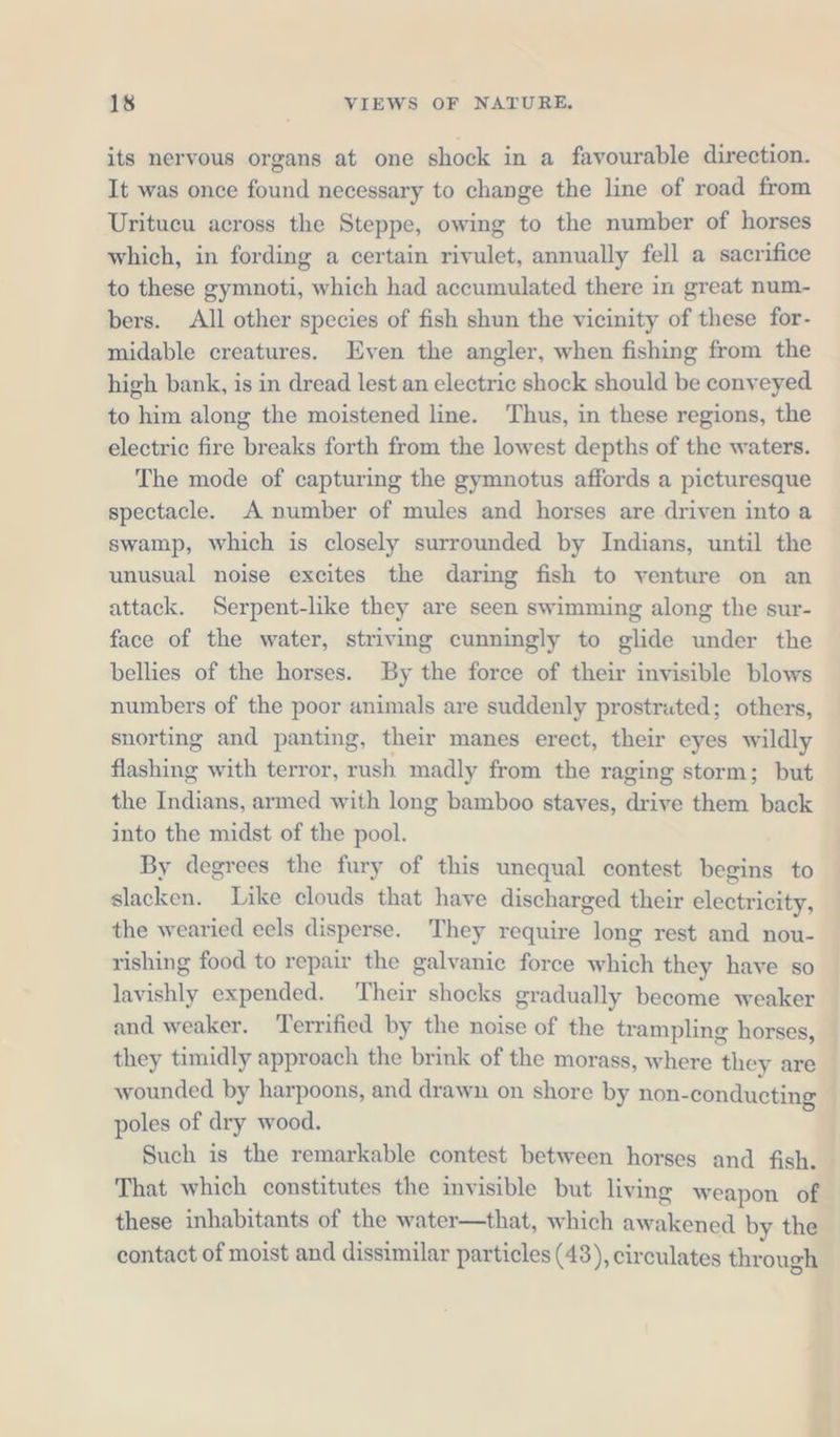 its nervous organs at one shock in a favourable direction. It was once found necessary to change the line of road from Uritucu across the Steppe, owing to the number of horses which, in fording a certain rivulet, annually fell a sacrifice to these gymnoti, which had accumulated there in great num- bers. All other species of fish shun the vicinity of these for- midable creatures. Even the angler, when fishing from the high bank, is in dread lest an electric shock should be conveyed to him along the moistened line. Thus, in these regions, the electric fire breaks forth from the lowest depths of the waters. The mode of capturing the gymnotus affords a picturesque spectacle. A number of mules and horses are driven into a swamp, which is closely surrounded by Indians, until the unusual noise excites the daring fish to venture on an attack. Serpent-like they are seen swimming along the sur- face of the water, striving cunningly to glide under the bellies of the horses. By the force of their invisible blows numbers of the poor animals are suddenly prostrated; others, snorting and panting, their manes erect, their eyes wildly flashing with terror, rush madly from the raging storm; but the Indians, armed with long bamboo staves, drive them back into the midst of the pool. By degrees the fury of this unequal contest begins to slacken. Like clouds that have discharged their electricity, the wearied eels disperse. They require long rest and nou- rishing food to repair the galvanic force which they have so lavishly expended. Their shocks gradually become weaker and weaker. Terrified by the noise of the trampling horses, they timidly approach the brink of the morass, where they are wounded by harpoons, and drawn on shore by non-condueting poles of dry wood. Such is the remarkable contest between horses and fish. That which constitutes the invisible but living weapon of these inhabitants of the water—that, which awakened by the contact of moist and dissimilar particles (43), circulates through