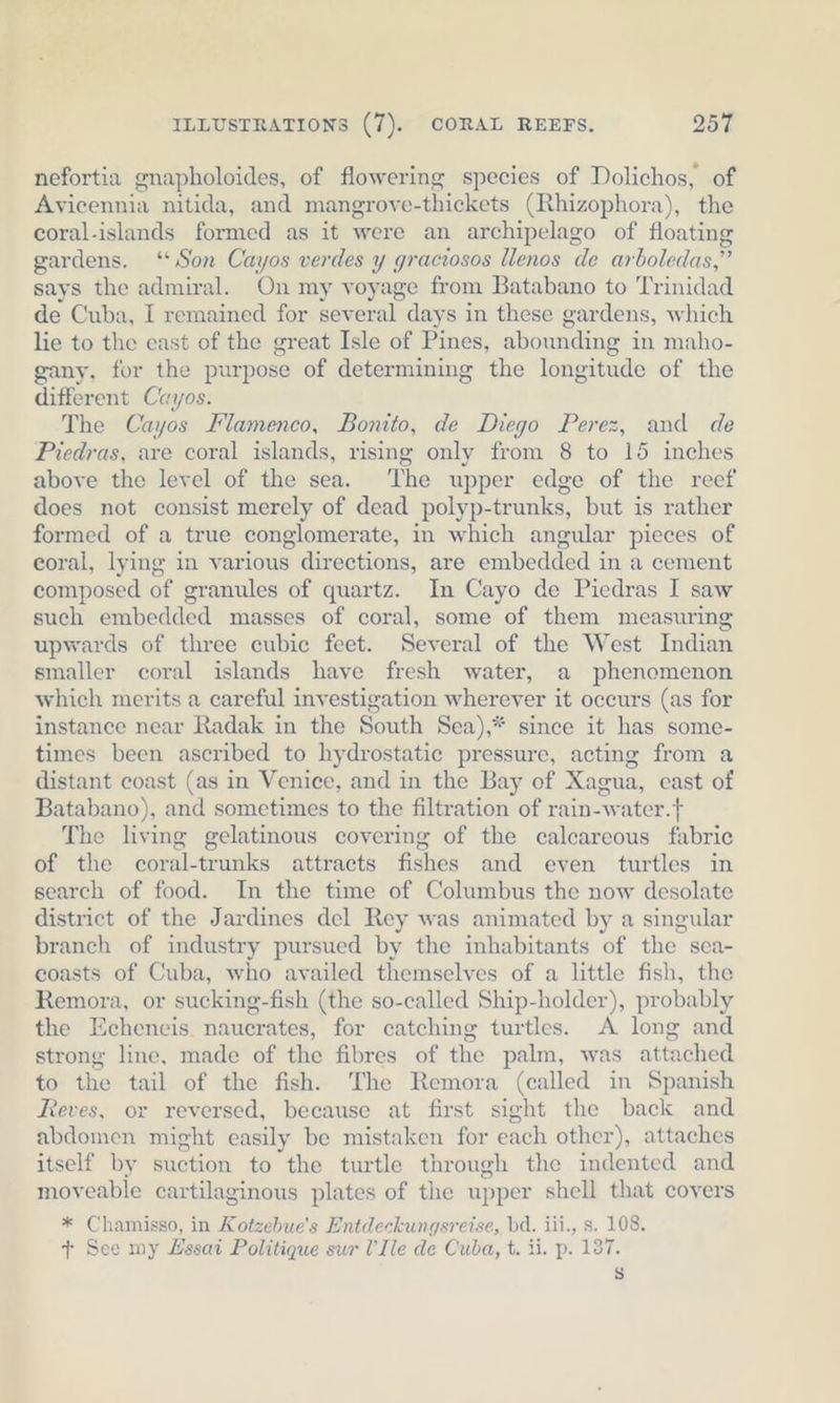 nefortia gnapholoides, of flowering species of Dolichos, of Avicennia nitida, and mangrove- thickets (Rhizophora), the coral-islands formed as it were an archipelago of floating gardens. “Son Cayos verdes y graciosos llenos de arboledas,” says the admiral. On my voyage from Batabano to Trinidad de Cuba, I remained for several days in these gardens, which lie to the east of the great Isle of Pines, abounding in maho- gany, for the purpose of determining the longitude of the different Cayos. The Cayos Flamenco, Bonito, de Diego Perez, and de Piedras, are coral islands, rising only from 8 to 15 inches above the level of the sea. ‘The upper edge of the reef does not consist merely of dead polyp- trunks, but is rather formed of a true conglomerate, in which angular pieces of coral, lying in various directions, are embedded i in a cement composed of granules of quartz. In Cayo de Piedras I saw such embedded masses of coral, some of them measuring upwards of three cubic feet. Several of the West Indian smaller coral islands have fresh water, a phenomenon which merits a careful investigation wherever it occurs (as for instance near Radak in the South Sea),* since it has some- times been ascribed to hydrostatic pressure, acting from a distant coast (as in Venice, and in the Bay of Xagua, east of Batabano), and sometimes to the filtration of rain-water.} The living gelatinous covering of the calcareous fabric of the coral-trunks attracts fishes and even turtles in search of food. In the time of Columbus the now desolate district of the Jardines del Rey was animated by a singular branch of industry pursued by the inhabitants of the sea- coasts of Cuba, who availed themselves of a little fish, the Remora, or sucking-fish (the so-called Ship-holder), probably the Echeneis naucrates, for catching turtles. A long and strong line, made of the fibres of the palm, was attached to the tail of the fish. The Remora (called in Spanish Reves, or reversed, because at first sight the back and abdomen might easily be mistaken for each other), attaches itself by suction to the turtle through the indented and moveable cartilaginous plates of the upper shell that covers * Chamisso, in Kotzebue’s Entdeckungsreise, bd. iii., s. 108. + See my Zssai Politique sur U’Ile de Cuba, t. ii. p. 137