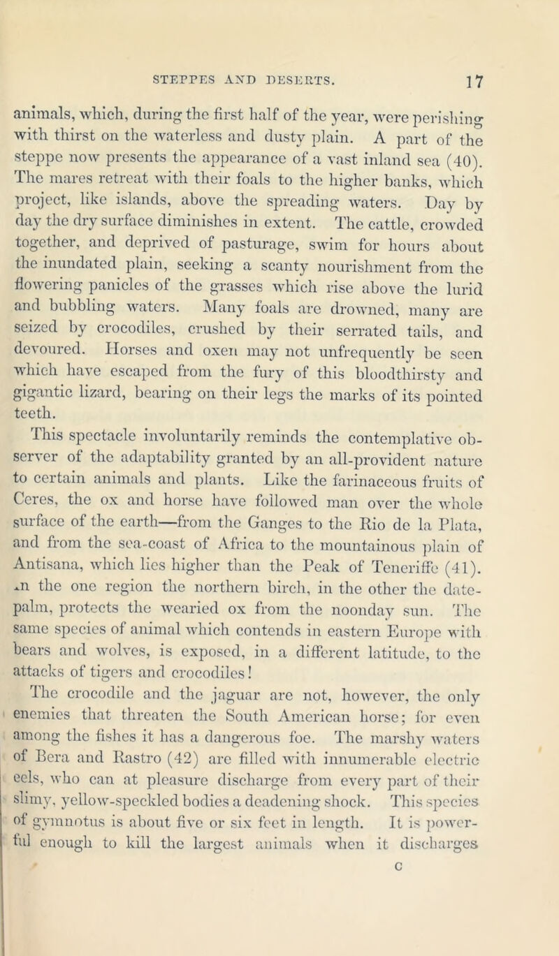 animals, which, during the first half of the year, were perishing with thirst on the waterless and dusty plain. A part of the steppe now presents the appearance of a vast inland sea (40). The mares retreat with their foals to the higher banks, which project, like islands, above the spreading waters. Day by day the dry surface diminishes in extent. The cattle, crowded together, and deprived of pasturage, swim for hours about the inundated plain, seeking a scanty nourishment from the flowering panicles of the grasses which rise above the lurid and bubbling waters. Many foals are drowned, many are seized by crocodiles, crushed by their serrated tails, and devoured. Horses and oxen may not unfrequcntly be seen which have escaped from the fury of this bloodthirsty and gigantic lizard, bearing on their legs the marks of its pointed teeth. This spectacle involuntarily reminds the contemplative ob- ser\er of the adaptability granted by an all-provident nature to certain animals and plants. Like the farinaceous fruits of Ceres, the ox and horse have followed man over the whole surface of the earth—from the Ganges to the Rio de la Plata, and from the sea-coast of Africa to the mountainous plain of Antisana, which lies higher than the Peak of Teneriffe (41). -n the one region the northern birch, in the other the date- palm, protects the wearied ox from the noonday sun. The same species of animal which contends in eastern Europe with bears and wolves, is exposed, in a different latitude, to the attacks of tigers and crocodiles! The crocodile and the jaguar are not, however, the only enemies that threaten the South American horse; for even among the fishes it has a dangerous foe. The marshy waters of Bera and Rastro (42) arc filled with innumerable electric eels, who can at pleasure discharge from every part of their slimy, yellow-speckled bodies a deadening shock. This sjiecies of gymnotus is about five or six feet in length. It is power- ful enough to kill the largest animals when it discharges c