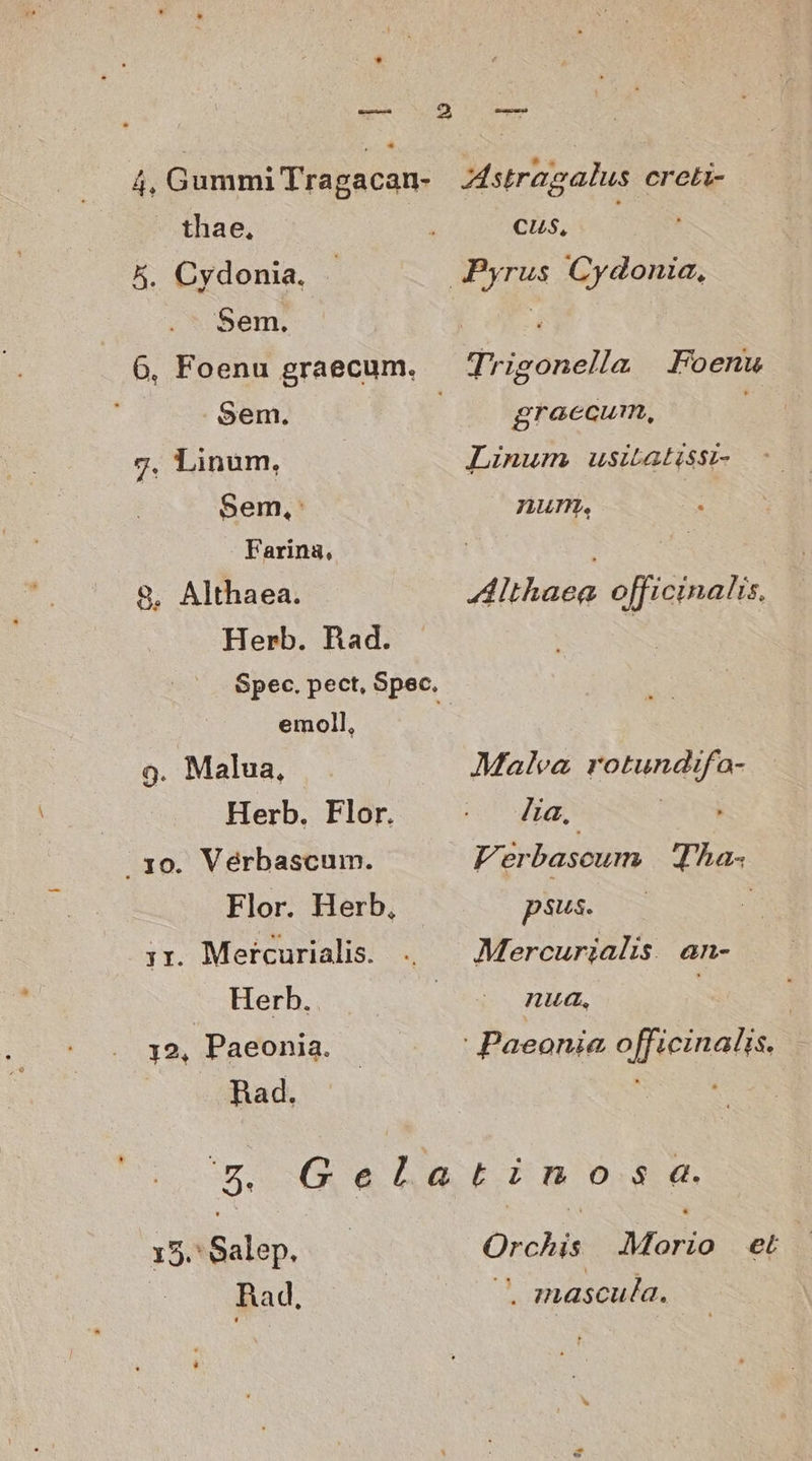 4, Gummi Tragacan- thae, 5. Cydonia, Sem. 6, Foenu graecum. Sem. | 7. Linum, Sem, Farina, 8, Althaea. Herb. Rad. Spec. pect, Spec. emoll, 9g. Malua, Herb. Flor. . yo. Véerbascum. Flor. Herb, yr. Mercurialis. Herb. 12, Paeonia. «aad, $ Gela 15. SUUM Rad, Astragalus creti- 7 E Pyrus Cydonia, Trigonella | Foenw graecum, ij Linum usiLatssi- num, Althaea officinalis, Malea rotundifa- la. ey Verbascum | Tha. psus. —— : Mercurialis. an- HU, EPOR Oi d EST: Morio et . znascula.