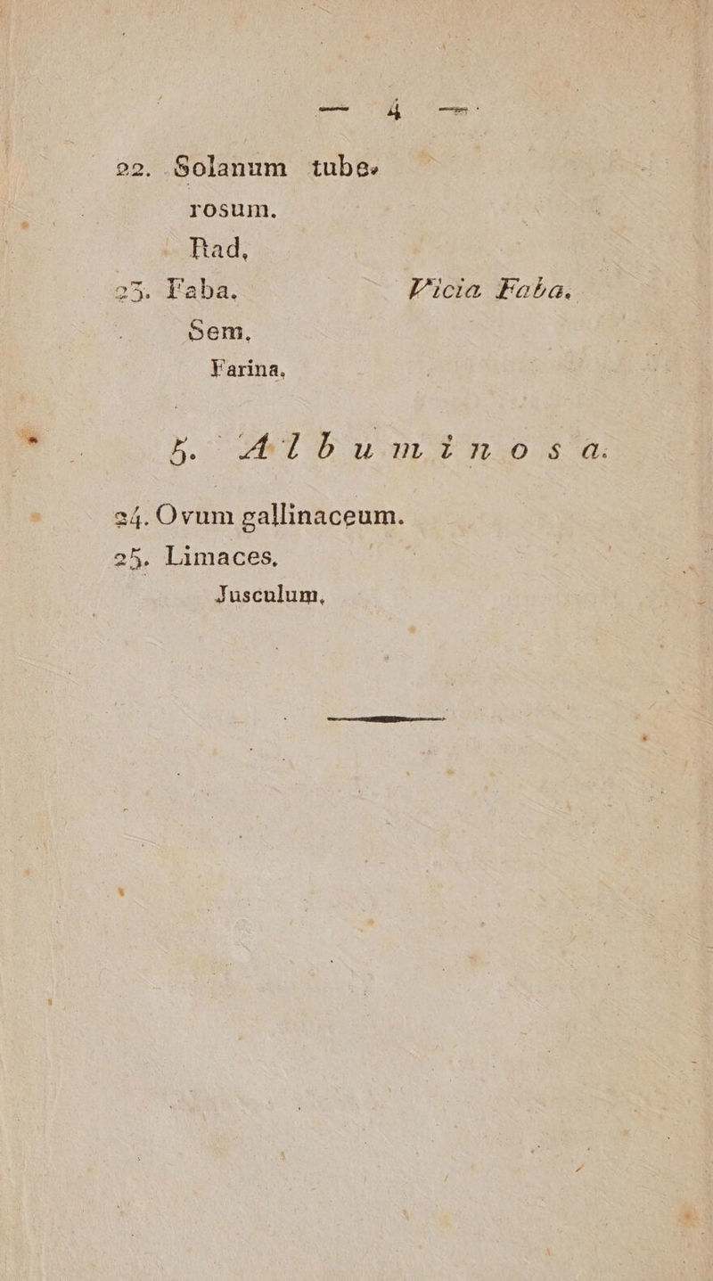 MES UM E 22. Solanum tube. rosum. Rad, 25. Eaba. Picia Faba. Sem, Varina. B. T bout ulos 24. Ovum gallinaceum. 25. Limaces, Jusculum.,