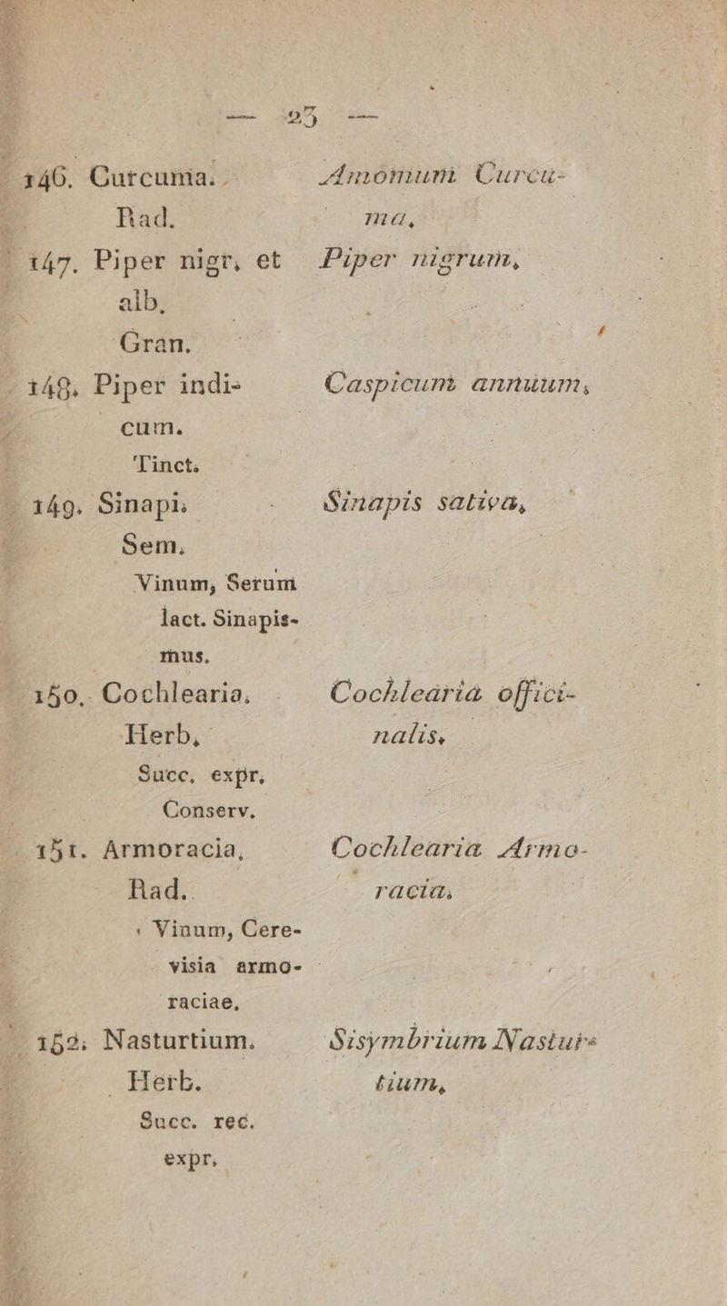 Curcunia. - Bad. Piper nigr, et alb, Gran. Piper indi- | cum. Tinct. Sinapi Sem, Vinum, Serum lact. Sinapis- mus. . Cochlearia, Herb, Succ, exjr, *- 150. | Conserv. .315t. Ármoracia, Rad. * Vinum, Cere- raciae, Nasturtium. Herb. Succ. rec. expr, dta cater Amomurnm Curcua- mea, Piper nigrum, Caspicum annuum, Sinapis sativa, Cochleariàa o[fici- naíis, Cochlearia Armo- racia, Szsymbrium INasturs FUTT,