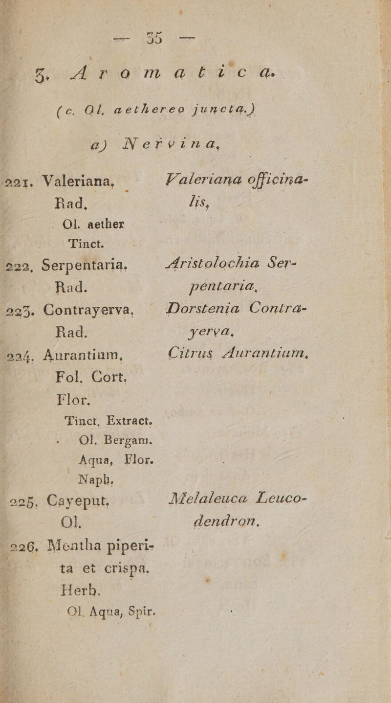 921. Valeriana, Rad, : OL. aether i Tinct. 222, Serpentaria, : Rad. 225. Contrayerva, Rad. 2234. Áurantium, Fol. Gort. Flor. Ol. Bergam. Aqua, Flor. Napb. o25. Cayeput. Ol. | 526. Mentha piperi- E ta et crispa, Herb. | Ol, Aqua, Spir. t 29 Faleriana offi CIna- lis, | Aristolochia Ser- pentaria, Dorstenia Contra- yerea, Cirus Aurantium, dendron,