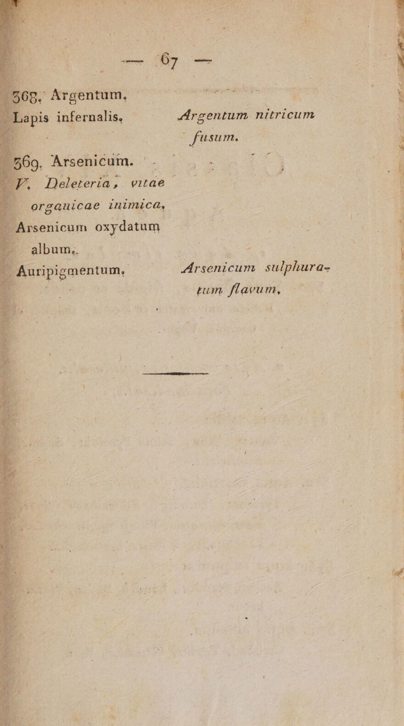 aapis infernalis, Argentum nitricum MR | : fusum. 2 POA6qUEa- . 77v 17) Deleteríia; vitae | À i organicae inimica, Arsenicum. oxydatum : is ENS ossa S 1 Auripigmentum,. drsenicum sulphura- 3 Piin tum flavum, j :