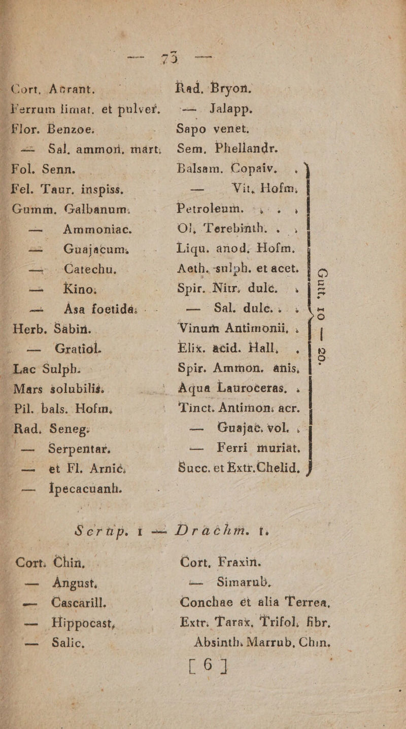 DE. 75 ee | Cort, A&amp;rant. —— | Rad, Bryon. € * E errum limat, et pulver. ^ -—— Jalapp. . Flor. Benzoe. Sapo venet, ? zz Sal. ammori, tiárt: Sem, Phellandr. . Fol. Senn. . Dalsam. Copaiv. |.) 3 . Fel. Taur. inspiss. — .. Vit, Hofm, | &amp; - Gumm. Galbanum:. Petroleum. :,.. 4 — Ammoniac. OI, 'erebinth. . 5 z2 QGuajatum, . . Liqu. anod, Hofm. | : —. . Catechu. . Aeth. :sulph. et acet. o |o — Kino Spir. Ni, dule. .|z E — Asa foetidá; . - — : Sal. dulé... ; ' ^ . Herb. Sabin. Vinum Antimonii, , | | o — Gratiol. Elix. acid. Hall, , B - Lac Sulph. Spir. Ammon. énis, | ' - Mars solubilis; ...; Aqua Lauroceras, . t - Pil. bals. Hofm, . TTinct. Antirnon: acr. . Rad. Seneg: | — Guajac. vol. . | EB... Serpentar. : — Ferri muriat. E — et Fl. Arnie, Succ. et Extr.Chelid, 3 — Ípecacuanh. Serüp. i -— Draéhmrm. t. qM Chia, | Cort, Fraxin. 4 — Angust, L— Simarub, ^ — Cascarill. Conchae et alia 'l'errea, A — Hippocast, Extr, Tarax, 'Trifol, fibr, P — Salic, | Absinth. Marrub, Chin. [6]