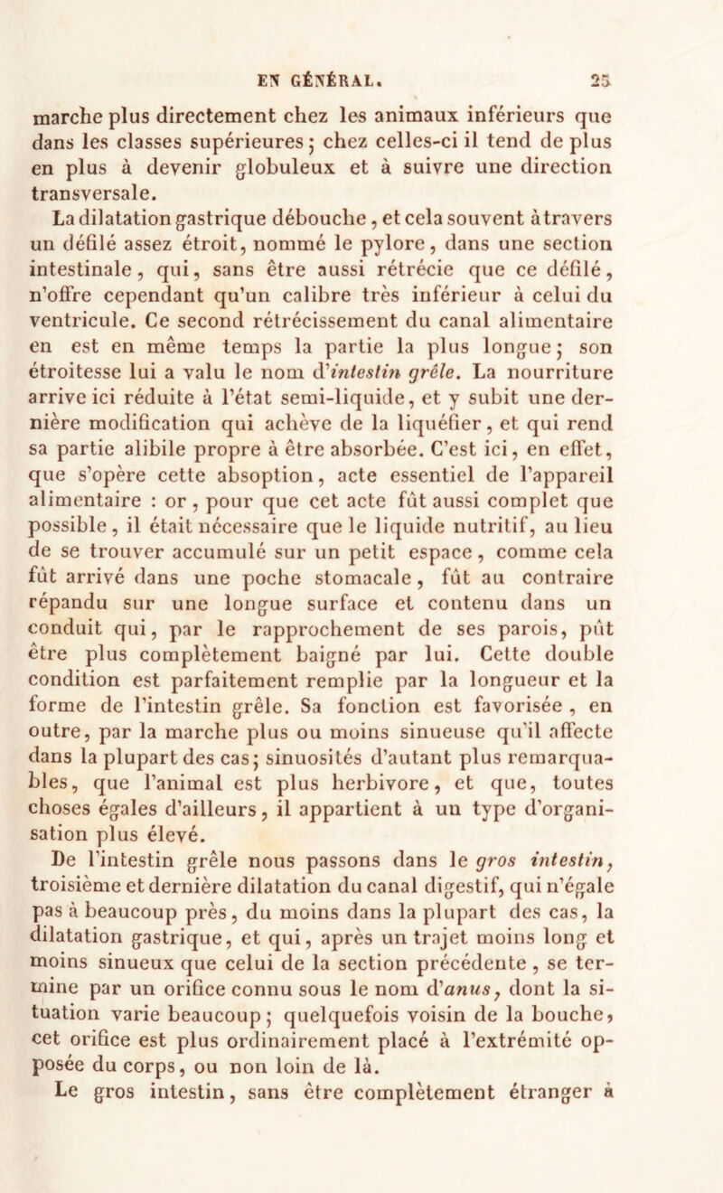 marche plus directement chez les animaux inférieurs que dans les classes supérieures 5 chez celles-ci il tend de plus en plus à devenir globuleux et à suivre une direction transversale. La dilatation gastrique débouche, et cela souvent àtravers un défilé assez étroit, nommé le pylore, dans une section intestinale, qui, sans être aussi rétrécie que ce défilé, n’offre cependant qu’un calibre très inférieur à celui du ventricule. Ce second rétrécissement du canal alimentaire en est en même temps la partie la plus longue; son étroitesse lui a valu le nom à'inlestin grêle. La nourriture arrive ici réduite à l’état semi-liquide, et y subit une der¬ nière modification qui achève de la liquéfier, et qui rend sa partie alibile propre à être absorbée. C’est ici, en effet, que s’opère cette absoption, acte essentiel de l’appareil alimentaire : or, pour que cet acte fût aussi complet que possible, il était nécessaire que le liquide nutritif, au lieu de se trouver accumulé sur un petit espace, comme cela fût arrivé dans une poche stomacale, fût au contraire répandu sur une longue surface et contenu dans un conduit qui, par le rapprochement de ses parois, pût être plus complètement baigné par lui. Cette double condition est parfaitement remplie par la longueur et la forme de l’intestin grêle. Sa fonction est favorisée , en outre, par la marche plus ou moins sinueuse qu’il affecte dans la plupart des cas; sinuosités d’autant plus remarqua¬ bles, que l’animal est plus herbivore, et que, toutes choses égales d’ailleurs, il appartient à un type d’organi¬ sation plus élevé. De l’intestin grêle nous passons dans le gros intestin, troisième et dernière dilatation du canal digestif, qui n’égale pas à beaucoup près, du moins dans la plupart des cas, la dilatation gastrique, et qui, après un trajet moins long et moins sinueux que celui de la section précédente, se ter¬ mine par un orifice connu sous le nom à'anus, dont la si¬ tuation varie beaucoup; quelquefois voisin de la bouche» cet orifice est plus ordinairement placé à l’extrémité op¬ posée du corps, ou non loin de là. Le gros intestin, sans être complètement étranger à