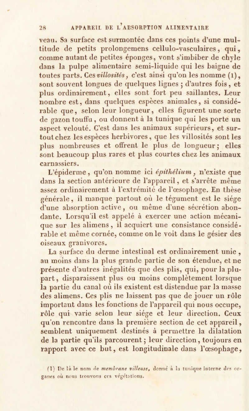 veau. Sa surface est surmontée dans ces points d’une mul¬ titude de petits prolongemens cellulo-vasculaires, qui, comme autant de petites éponges, vont s’imbiber de chyle dans la pulpe alimentaire semi-liquide qui les baigne de toutes parts. Ces villosités, c’est ainsi qu’on les nomme (l), sont souvent longues de quelques lignes ; d’autres fois, et plus ordinairement, elles sont fort peu saillantes. Leur nombre est, dans quelques espèces animales, si considé¬ rable que, selon leur longueur, elles figurent une sorte de gazon touffu , ou donnent à la tunique qui les porte un aspect velouté. C’est dans les animaux supérieurs, et sur¬ tout chez les espèces herbivores, que les villosités sont les plus nombreuses et offrent le plus de longueur; elles sont beaucoup plus rares et plus courtes chez les animaux carnassiers. L’épiderme, qu’on nomme ici épithélium, n’existe que dans la section antérieure de l’appareil, et s’arrête même assez ordinairement à l’extrémité de l’œsophage. En thèse générale, il manque partout où le tégument est le siège d’une absorption active, ou même d’une sécrétion abon¬ dante. Lorsqu’il est appelé à exercer une action mécani¬ que sur les alimens, il acquiert une consistance considé¬ rable et même cornée, comme on le voit dans le gésier des oiseaux granivores. La surface du derme intestinal est ordinairement unie , au moins dans la plus grande partie de son étendue, et ne présente d’autres inégalités que des plis, qui, pour la plu¬ part, disparaissent plus ou moins complètement lorsque la partie du canal où ils existent est distendue par la masse des alimens. Ces plis ne laissent pas que de jouer un rôle important dans les fonctions de l’appareil qui nous occupe, rôle qui varie selon leur siège et leur direction. Ceux qu’on rencontre dans la première section de cet appareil, semblent uniquement destinés à permettre la dilatation de la partie qu’ils parcourent ; leur direction, toujours en rapport avec ce but, est longitudinale dans l’œsophage. (1) De là le nom de membrane villeuse, donné à la tunique interne des or¬ ganes où nous trouvons ces végétations.