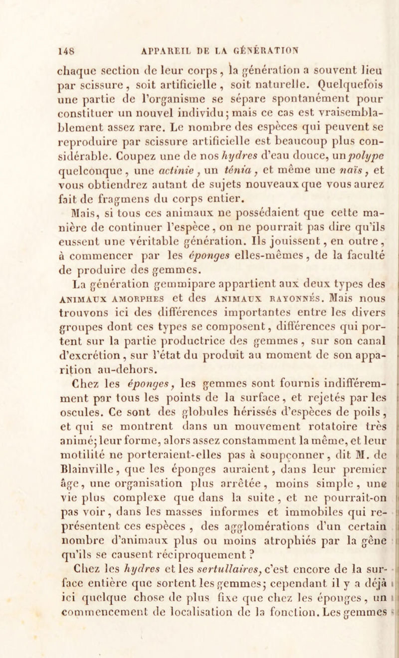 chaque section de leur corps, la {vénération a souvent lieu par scissure , soit artificielle , soit naturelle. Quelquefois une partie de ror{vanisine se sépare spontanément pour constituer un nouvel individu; mais ce cas est vraisembla¬ blement assez rare. Le nombre des espèces qui peuvent se reproduire par scissure artificielle est beaucoup plus con¬ sidérable. Coupez une de r\oshydres d’eau douce, unj^olypc quelconque, une actinie ^ un ténia, et même une naïs, et vous obtiendrez autant de sujets nouveaux que vous aurez fait de fragmens du corps entier. Mais, si tous ces animaux ne possédaient que celte ma¬ nière de continuer l’espèce, on ne pourrait pas dire qu’ils I eussent une véritable génération. Ils jouissent, en outre, à commencer par les éponges elles-mêmes, de la faculté i de produire des gemmes. ' La génération gemmipare appartient aux deux types des i ANIMAUX AMORPHES et deS ANIMAUX RAYONNES. Mais nOUS I trouvons ici des différences importantes entre les divers j groupes dont ces types se composent, diflerences qui por- • tent sur la partie productrice des gemmes , sur son canal f d’excrétion, sur l’état du produit au moment de son appa- • rition au-dehors. Chez les éponges, les gemmes sont fournis indifférem- > ment par tons les points de la surface, et rejetés par les > oscilles. Ce sont des globules hérissés d’espèces de poils, et qui se montrent ilans un mouvement rotatoire très i* animé; leur forme, alors assez constamment la même, et leur |i motilité ne porteraient-elles pas à soupçonner, dit M. de i' Blainville, que les éponges auraient, dans leur premier |) âge, une organisation plus arrêtée, moins simple, une i vie plus complexe que dans la suite , et ne pourrait-on h pas voir, dans les masses informes et immobiles qui re- !i présentent ces espèces , des agglomérations d’un certain i nombre d’animaux plus ou moins atrophiés par la gêne n qu’ils se causent réciproquement ? Chez les hydres et les sertullaires, c’est encore de la sur¬ face entièi’e que sortent les gemmes; cependant il y a déj<à i ici quelque chose de plus fixe que chez les éponges, un t|i commencement de localisation de la fonction. Les gemmes « ;