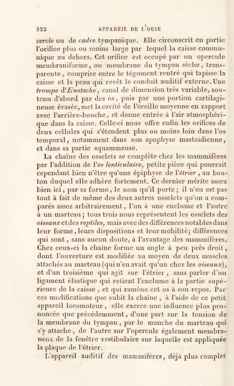cercle ou de cadre tympanique. Elle circonscrit en partie l’orifice plus ou moins large par lequel la caisse commu¬ nique au dehors. Cet orifice est occupé par un opercule membraniforine, ou membrane du tympan sèche, trans¬ parente , comprise entre le tégument rentré qui tapisse la caisse et la peau qui revêt le conduit auditif externe. Une tronque à'Euslache, canal de dimension très variable, sou¬ tenu d’abord par des os, puis par une portion cartilagi¬ neuse évasée, met la cavité de l’oreille moyenne en rapport avec l’arrière-bouche, et donne entrée à l’air atmosphéri¬ que dans la caisse. Celle-ci nous offre enfin les orifices de deux cellules qui s’étendent plus ou moins loin dans l’os temporal, notamment dans son apophyse mastoïdienne, et dans sa partie squammeuse. La chaîne des osselets se complète chez les mammifères par l’addition de l’os lenticulaire, petite pièce qui pourrait cependant bien n’être qu’une épiphyse de Vélrier, au bou¬ ton duquel elle adhère fortement. Ce dernier mérite assez bien ici, par sa forme , le nom qu’il porte ; il n’en est pas tout à fait de même des deux autres osselets qu’on a com¬ parés assez arbitrairement, l’un à une enclume et l’autre à un marteau J tous trois nous représentent les osselets des oiseaux etdes reptiles, mais avec des différences notables dans leur forme, leurs dispositions et leur mobilité; différences qui sont, sans aucun doute, à l’avantage des mammifères. Chez ceux-ci la chaîne forme un angle à peu près droit, dont l’ouverture est modifiée au moyen de deux muscles attachés au marteau (qui n’en avait qu’un chez les oiseaux), et d’un troisième qui agit sur l’étrier , sans parler d’un ligament élastique qui retient l’enclume à la partie supé¬ rieure de la caisse , et qui ramène cet os à son repos. Par ces modifications que subit la chaîne , à l’aide de ce petit appareil locomoteur, elle exerce une influence plus pro¬ noncée que précédemment, d’une part sur la tension de la membrane du tympan, par le manche du marteau qui s’y attache, de l’autre sur l’opercule également membra¬ neux de la fenêtre vestibulaire sur laquelle est appliquée la plaque de l’étrier. I4'3ppareil auditif des mammifères, déjà plus complet