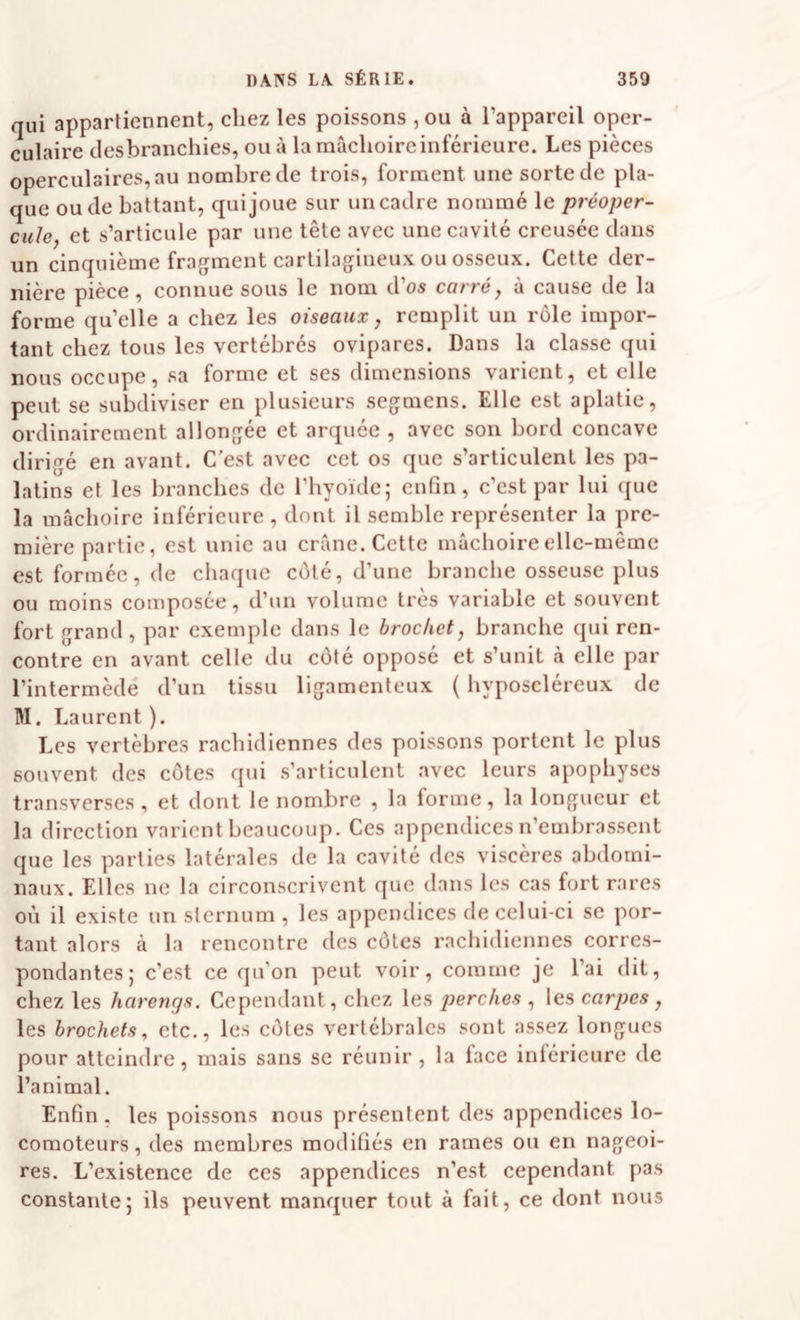 qui appartiennent, chez les poissons ,ou à l’appareil oper- culaire clesbranchies, ou à la mâchoire inférieure. Les pièces opercul8ires,au nombre de trois, forment une sorte de pla¬ que ou de battant, qui joue sur un cadre nommé le préoper¬ cule, et s’articule par une tête avec une cavité creusée dans un cinquième fragment cartilagineux ou osseux. Cette der¬ nière pièce , connue sous le nom d’os carré, à cause de la forme qu’elle a chez les oiseaux, remplit un rôle impor¬ tant chez tous les vertébrés ovipares. Dans la classe qui nous occupe, sa forme et ses dimensions varient, et elle peut se subdiviser en plusieurs segmens. Elle est aplatie, ordinairement allongée et arquée , avec son bord concave dirigé en avant. C’est avec cet os que s’articulent les pa¬ latins et les branches de l’hyoïde; enfin, c’est par lui que la mâchoire inférieure , dont il semble représenter la pre¬ mière partie, est unie au crâne. Cette mâchoire elle-même est formée, de chaque côté, d’une branche osseuse plus ou moins composée, d’un volume très variable et souvent fort grand , par exemple dans le brochet, branche qui ren¬ contre en avant celle du côté opposé et s’unit à elle par l’intermède d’un tissu ligamenteux ( hyposcléreux de M. Laurent ). Les vertèbres rachidiennes des poissons portent le plus souvent des côtes qui s’articulent avec leurs apophyses transverscs , et dont le nombre , la forme, la longueur et la direction varient beaucoup. Ces appendices n’embrassent que les parties latérales de la cavité des viscères abdomi¬ naux. Elles ne la circonscrivent que dans les cas fort rares où il existe un sternum , les appendices de celui-ci se por¬ tant alors à la rencontre des côtes rachidiennes corres¬ pondantes; c’est ce qu’on peut voir, comme je l’ai dit, chez les harengs. Cependant, cliez les perches , les carpes, les brochets, etc., les côtes vertébrales sont assez longues pour atteindre, mais sans se réunir, la lace inférieure de l’animal. Enfin , les poissons nous présentent des appendices lo¬ comoteurs , des membres modifiés en rames ou en nageoi¬ res. L’existence de ces appendices n’est cependant pas constante; ils peuvent manquer tout à fait, ce dont nous