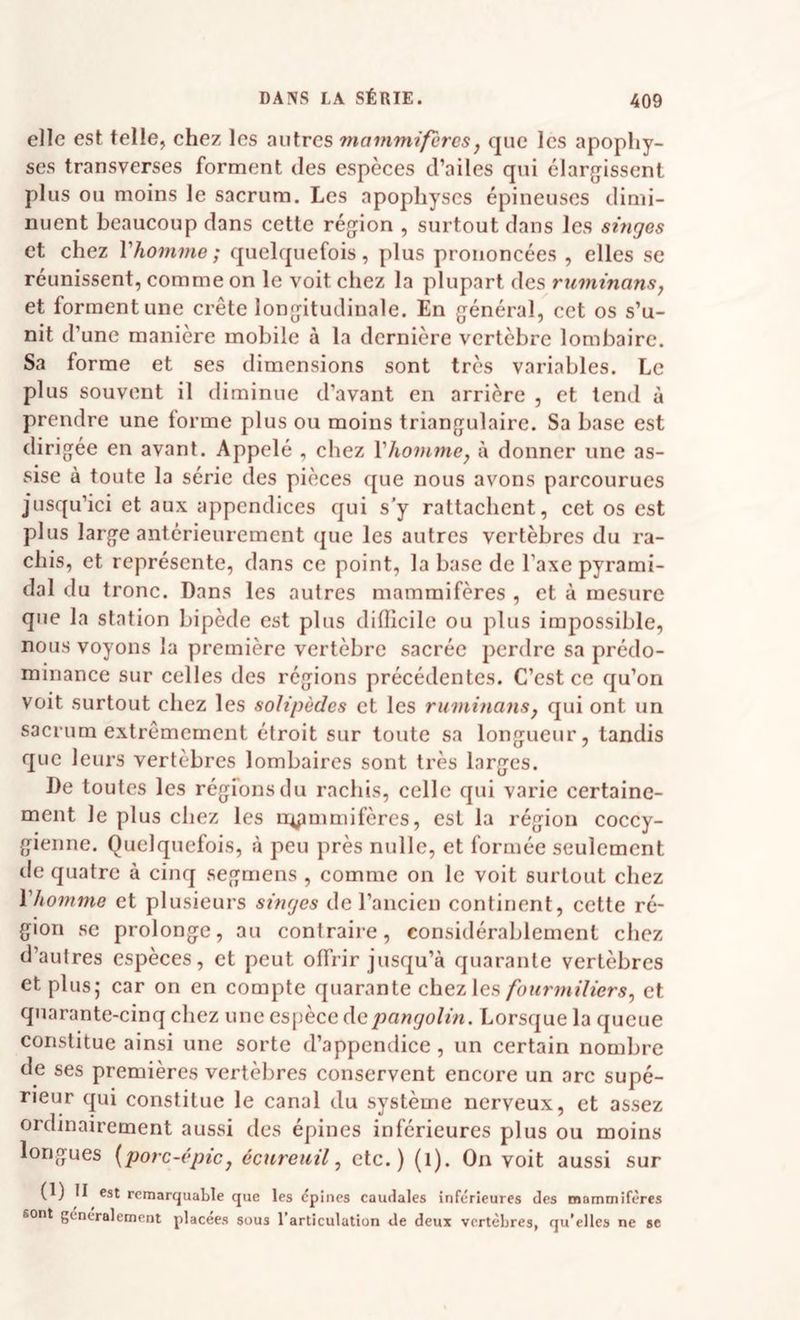 elle est telle, ehez les autres mavimifcrcs^ que les apophy¬ ses transverses forment des espèces d’ailes qui élargissent plus ou moins le sacrum. Les apophyses épineuses dimi¬ nuent beaucoup dans cette région , surtout dans les singes et chez Vhomnie; quelquefois, plus prononcées , elles se réunissent, comme on le voit chez la plupart des ruminans, et forment une crête longitudinale. En général, cet os s’u¬ nit d’une manière mobile à la dernière vertèbre lombaire. Sa forme et ses dimensions sont très variables. Le plus souvent il diminue d’avant en arrière , et tend à prendre une forme plus ou moins triangulaire. Sa base est dirigée en avant. Appelé , chez Vhomme, à donner une as¬ sise à toute la série des pièces que nous avons parcourues jusqu’ici et aux appendices qui s’y rattachent, cet os est plus large antérieurement que les autres vertèbres du ra¬ chis, et représente, dans ce point, la base de l’axe pyrami¬ dal du tronc. Dans les autres mammifères , et à mesure que la station bipède est plus difficile ou plus impossible, nous voyons la première vertèbre sacrée perdre sa prédo¬ minance sur celles des régions précédentes. C’est ce qu’on voit surtout chez les solipèdes et les ruminans, qui ont un sacrum extrêmement étroit sur toute sa longueur, tandis que leui’S vertèbres lombaires sont très larges. De toutes les régfonsdu rachis, celle qui varie certaine¬ ment le plus chez les nipmmifères, est la région coccy- gienne. Quelquefois, à peu près nulle, et formée seulement de quatre à cinq segmens , comme on le voit surtout chez Vhomme et plusieurs singes de l’ancien continent, cette ré¬ gion se prolonge, au contraire, considérablement chez d’autres espèces, et peut offrir jusqu’à quarante vertèbres et plus; car on en compte quarante chez les fourmiliers, et quarante-cinq chez une espèce Aç,pangolin. Lorsque la queue constitue ainsi une sorte d’appendice , un certain nombre de ses premières vertèbres conservent encore un arc supé¬ rieur qui constitue le canal du système nerveux, et assez ordinairement aussi des épines inférieures plus ou moins longues {porc-épic, écureuil, etc.) (l). On voit aussi sur (1) Il est remarquable que les (5pines caudales inférieures des mammifères sont généralement placées sous l’articulation de deux vertèbres, qu’elles ne se
