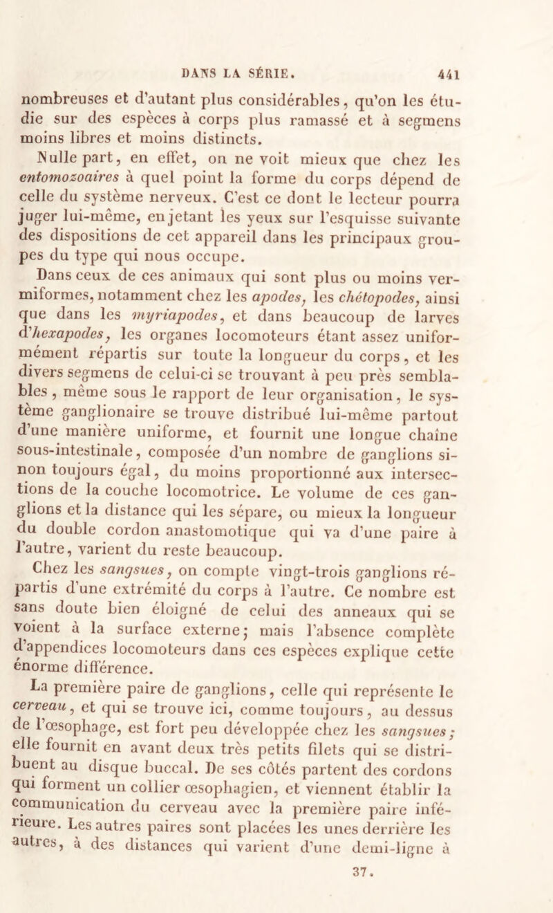 nombreuses et d’autant plus considérables, qu’on les étu¬ die sur des espèces à corps plus ramassé et à seg^mens moins libres et moins distincts. Nulle part, en effet, on ne voit mieux que chez les enfomozoaires à quel point la forme du corps dépend de celle du système nerveux. C’est ce dont le lecteur pourra juger lui-même, en jetant les yeux sur l’esquisse suivante des dispositions de cet appareil dans les principaux grou¬ pes du type qui nous occupe. Dans ceux de ces animaux qui sont plus ou moins ver- miforraes, notamment chez les apodes, les chétopodes, ainsi que dans les myriapodes, et dans beaucoup de larves àliexapodes, les organes locomoteurs étant assez unifor¬ mément répartis sur toute la longueur du corps, et les divers segmens de celui-ci se trouvant à peu près sembla¬ bles , même sous le rapport de leur organisation, le sys¬ tème ganglionaire se trouve distribué lui-même partout d’une manière uniforme, et fournit une longue chaîne sous-intestinale, composée d’un nombre de ganglions si¬ non toujours égal, du moins proportionné aux intersec¬ tions de la couclie locomotrice. Le volume de ces gan¬ glions et la distance qui les sépare, ou mieux la longueur du double cordon anastomotique qui va d’une paire ù l’autre, varient du reste beaucoup. Chez les sangsues, on compte vingt-trois ganglions ré¬ partis d’une extrémité du corps à l’autre. Ce nombre est sans doute bien éloigné de celui des anneaux qui se voient à la surface externe j mais l’absence complète d’appendices locomoteurs dans ces espèces explique cette énorme différence. La première paire de ganglions, celle qui représente le cerveau, et qui se trouve ici, comme toujours, au dessus de l’oesophage, est fort peu développée chez les sangsues; elle fournit en avant deux très petits filets qui se distri¬ buent au disque buccal. De scs côtés partent des cordons qui forment un collier œsophagien, et viennent établir la communication du cerveau avec la première paire infé¬ rieure. Les autres paires sont placées les unes derrière les autres, à des distances qui varient d’une demi-ligne à 37.
