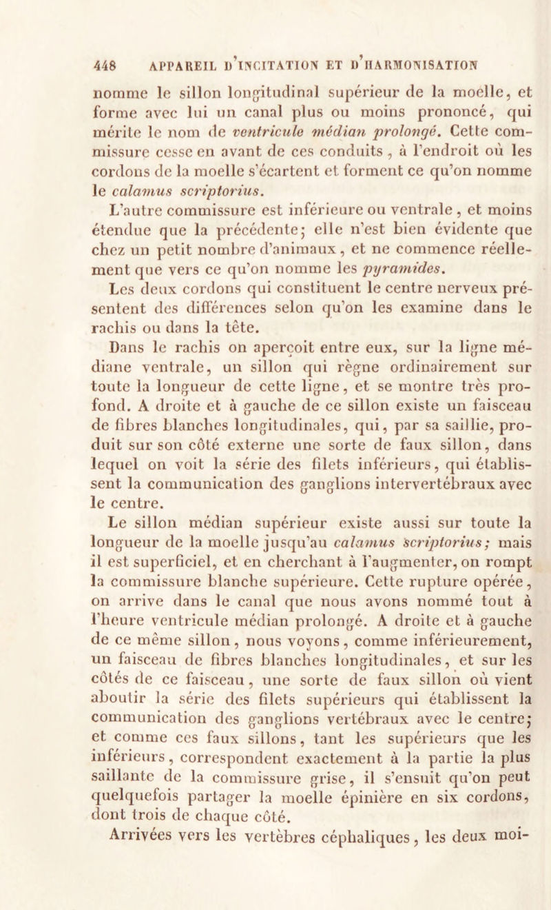 nomme le sillon longitudinal supérieur de la moelle, et forme avec lui un canal plus ou moins prononcé, qui mérite le nom de ventricule médian prolongé. Cette com¬ missure cesse en avant de ces conduits, à l’endroit où les cordons de la moelle s’écartent et forment ce qu’on nomme le calamus scriptorius. L’autre commissure est inférieure ou ventrale , et moins étendue que la précédentej elle n’est bien évidente que chez un petit nombre d’animaux, et ne commence réelle¬ ment que vers ce qu’on nomme les pyramides. Les deux cordons qui constituent le centre nerveux pré¬ sentent des différences selon qu’on les examine dans le rachis ou dans la tête. Dans le rachis on aperçoit entre eux, sur la lijjne mé¬ diane ventrale, un sillon qui règne ordinairement sur toute la longueur de cette ligne, et se montre très pro¬ fond. A droite et à gauche de ce sillon existe un faisceau de fibres blanches longitudinales, qui, par sa saillie, pro¬ duit sur son côté externe une sorte de faux sillon, dans lequel on voit la série des filets inférieurs, qui établis¬ sent la communication des ganglions intervertébraux avec le centre. Le sillon médian supérieur existe aussi sur toute la longueur de la moelle jusqu’au calamus Scriptorius; mais il est superficiel, et en cherchant à l’augmenter, on rompt la commissure blanche supérieure. Cette rupture opérée, on arrive dans le canal que nous avons nommé tout à l’heure ventricule médian prolongé. A droite et à gauche de ce même sillon, nous voyons, comme inférieurement, un faisceau de fibres blanches longitudinales, et sur les côtés de ce faisceau, une sorte de faux sillon où vient aboutir la série des filets supérieurs qui établissent la communication des ganglions vertébraux avec le centre,* et comme ces faux sillons, tant les supérieurs que les inférieurs, correspondent exactement à la partie la plus saillante de la commissure grise, il s’ensuit qu’on peut quelquefois partager la moelle épinière en six cordons, dont trois de chaque coté. Arrivées vers les vertèbres céphaliques, les deux moi-