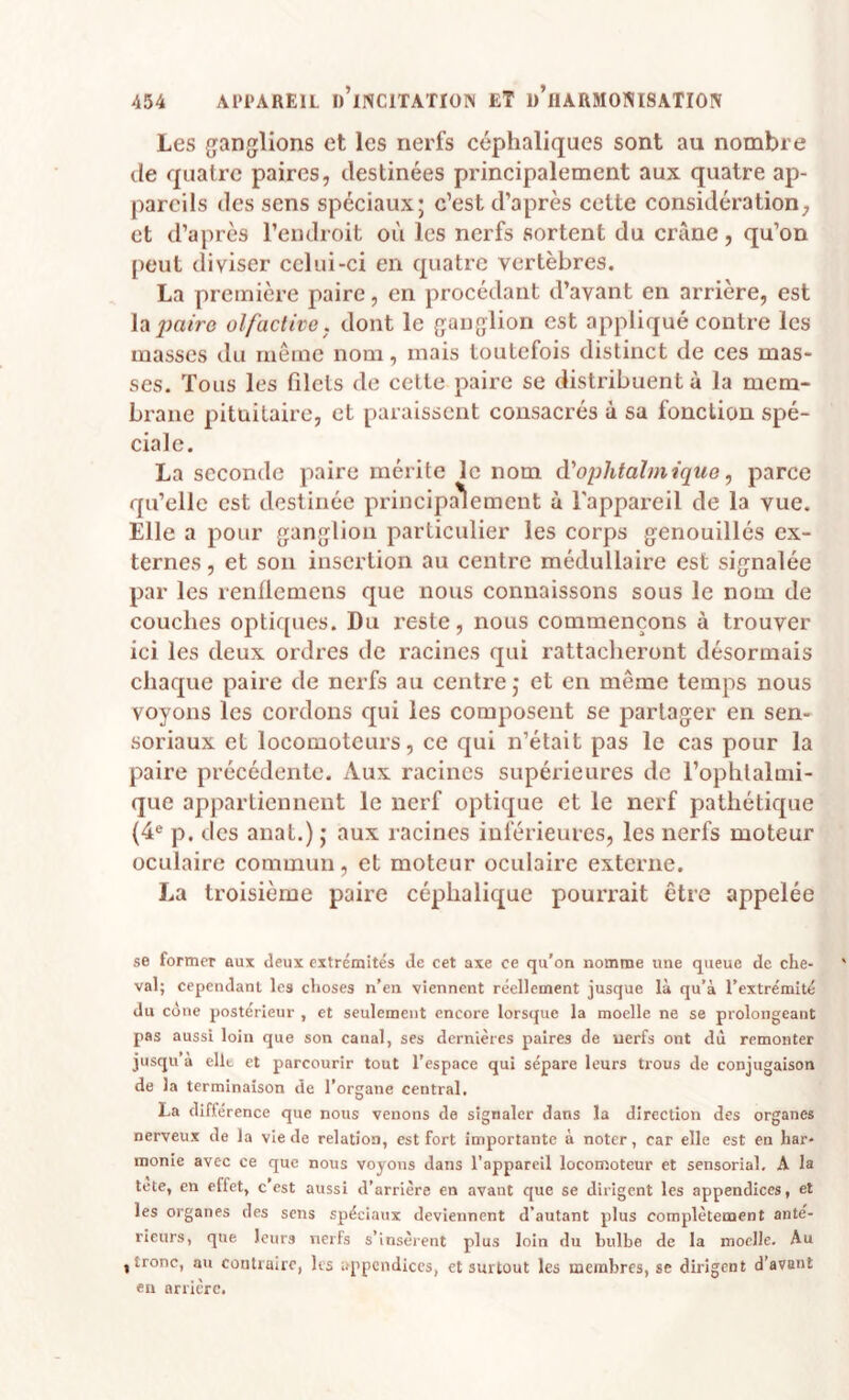 Les g^anglions et les nerfs céphaliques sont au nombre de quatre paires, destinées principalement aux quatre ap¬ pareils des sens spéciaux; c’est d’après cette considération, et d’après l’endroit où les nerfs sortent du crâne, qu’on peut diviser celui-ci en quatre vertèbres. La première paire, en procédant d’avant en arrière, est la2>airG olfactive, dont le (jauglion est appliqué contre les masses du môme nom, mais toutefois distinct de ces mas¬ ses. Tous les filets de cette paire se distribuent à la mem¬ brane pituitaire, et paraissent consacrés à sa fonction spé¬ ciale. La seconde paire mérite le nom à'ophtalmique, parce qu’elle est destinée principa'îemcnt à l'appareil de la vue. Elle a pour ganfjlion particulier les corps grenouilles ex¬ ternes , et son insertion au centre médullaire est sigrnalée par les renÜemcns que nous connaissons sous le nom de couches optiques. Du reste, nous commençons à trouver ici les deux ordres de racines qui rattacheront désormais chaque paire de nerfs au centre ; et en même temps nous voyons les cordons qui les composent se partager en sen- soriaux et locomoteurs, ce qui n’était pas le cas pour la paire précédente. Aux racines supérieures de l’ophtalmi¬ que appartiennent le nerf optique et le nerf pathétique (4® p. des anat.) ; aux racines inférieures, les nerfs moteur oculaire commun, et moteur oculaire externe. La troisième paire céphalique pourrait être appelée se former aux deux extrémités de cet axe ce qu’on nomme une queue de che¬ val; cependant les choses n’en viennent réellement jusque là qu’à l’extrémité du cône postérieur , et seulement encore lorsque la moelle ne se prolongeant pas aussi loin que son canal, ses dernières paires de uerfs ont dû remonter jusqu a élit et parcourir tout l’espace qui sépare leurs trous de conjugaison de la terminaison de l’organe central. La diflérence que nous venons de signaler dans la direction des organes nerveux de la vie de relation, est fort importante à noter, car elle est en har¬ monie avec ce que nous voyons dans l’appareil locomoteur et sensorial, A la tete, en effet, c’est aussi d’arrière en avant que se dirigent les appendices, et les organes des sens spéciaux deviennent d’autant plus complètement ante'- rieurs, que leurs nerfs s’insèrent plus loin du bulbe de la moelle. Au , tronc, au contraire, les appendices, et surtout les membres, se dirigent d’avant eu arrière.