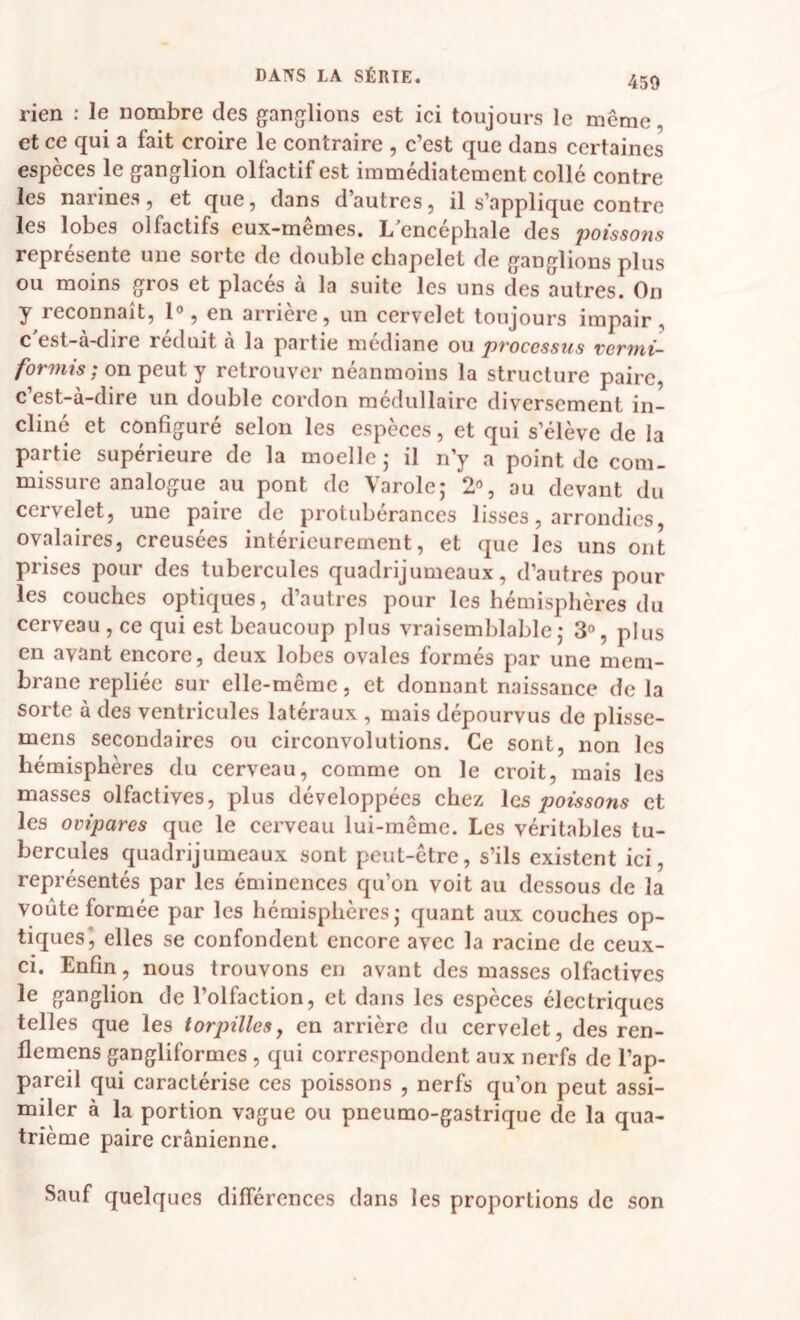 rien ; le nombre des ganjjlions est ici toujours le même et ce qui a fait croire le contraire , c’est que dans certaines espèces le ganglion olfactif est immédiatement collé contre les narines, et que, dans d’autres, il s’applique contre les lobes olfactifs eux-mêmes. L’encéphale des poissons représente une sorte de double chapelet de ganglions plus ou moins gros et placés à la suite les uns des autres. On y reconnaît, en arrière, un cervelet toujours impair, c'est-à-dire réduit à la partie médiane ou processus vermi- ; on peut y retrouver néanmoins la structure paire, c’est-à-dire un double cordon médullaire diversement in¬ cliné et configuré selon les espèces, et qui s’élève de la partie supérieure de la moelle j il n’y a point de com¬ missure analogue au pont de Varole; 2% au devant du cervelet, une paire de protubérances lisses, arrondies, ovalaires, creusées intérieurement, et que les uns ont prises pour des tubercules quadrijumeaux, d’autres pour les couches optiques, d’autres pour les hémisphères du cerveau , ce qui est beaucoup plus vraisemblable,- S», plus en avant encore, deux lobes ovales formés par une mem¬ brane repliée sur elle-même, et donnant naissance de la sorte à des ventricules latéraux , mais dépourvus do plisse- mens secondaires ou circonvolutions. Ce sont, non les hémisphères du cerveau, comme on le croit, mais les masses olfactives, plus développées chez les poissons et les ovipares que le cerveau lui-même. Les véritables tu¬ bercules quadrijumeaux sont peut-être, s’ils existent ici, représentés par les éminences qu’on voit au dessous de la voûte formée par les hémisphères,- quant aux couches op¬ tiques* elles se confondent encore avec la racine de ceux- ci. Enfin, nous trouvons en avant des masses olfactives le ganglion de l’olfaction, et dans les espèces électriques telles que les torpilles^ en arrière du cervelet, des ren- flemens gangliformes , qui correspondent aux nerfs de l’ap¬ pareil qui caractérise ces poissons , nerfs qu’on peut assi¬ miler à la portion vague ou pneumo-gastrique de la qua¬ trième paire crânienne. Sauf quelques différences dans les proportions de son