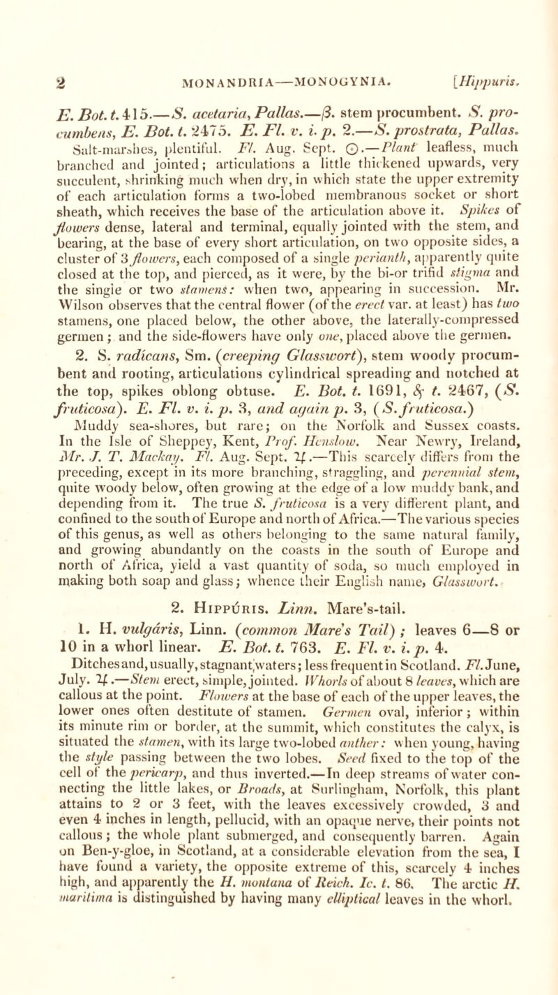 E. Bot. t. 415.—S. acetciria, Pallas /3. stem procumbent. .S', pro- cumbent, E. Bot. t. 2475. E. FI. v. i. p. 2.—S. prostrata, Pallas. Salt-marshes, plentiful. Ft. Aug. Sept. Q.—Plant leafless, much branched and jointed; articulations a little thickened upwards, very succulent, shrinking much when dry, in which state the upper extremity of each articulation forms a two-lobed membranous socket or short sheath, which receives the base of the articulation above it. Spikes of flowers dense, lateral and terminal, equally jointed with the stem, and bearing, at the base of every short articulation, on two opposite sides, a cluster of 3 flowers, each composed of a single perianth, apparently quite closed at the top, and pierced, as it were, by the bi-or trifid stigma and the singie or two stamens: when two, appearing in succession. Mr. Wilson observes that the central flower (of the erect var. at least) has two stamens, one placed below, the other above, the laterally-compressed germen; and the side-flowers have only one, placed above the germen. 2. S. radxcans, Sm. (creeping Glasswort'), stem woody procum- bent and rooting, articulations cylindrical spreading and notched at the top, spikes oblong obtuse. E. Bot. t. 1691, t. 2467, (S. fruticosa). E. FI. v. i. p. 3, and again p. 3, (S.fruticosa.) Muddy sea-shores, but rare; on the Norfolk and Sussex coasts. In the Isle of Sheppey, Kent, Prof. H'cnslow. Near Newry, Ireland, Mr. •/. T. Maclcag. Ft. Aug. Sept. 7f.—This scarcely differs from the preceding, except in its more branching, straggling, and perennial stem, quite woody below, often growing at the edge of a low muddy bank, and depending from it. The true N. fruticosa is a very different plant, and confined to the south of Europe and north of Africa.—The various species of this genus, as well as others belonging to the same natural family, and growing abundantly on the coasts in the south of Europe and north of Africa, yield a vast quantity of soda, so much employed in making both soap and glass; whence their English name, Glasswort. 2. Hippuris. Linn. Mare’s-tail. 1. H. vulgaris, Linn, (common Mares Tail) ; leaves 6—8 or 10 in a whorl linear. E. Bot. t. 763. E. FI. v. i. p. 4. Ditches and, usually, stagnant,waters; less frequent in Scotland. FI. June, July. 1(..—Stem erect, simple, jointed. Whorls of about 8 leaves, which are callous at the point. Floivers at the base of each of the upper leaves, the lower ones often destitute of stamen. Germen oval, inferior; within its minute rim or border, at the summit, which constitutes the calyx, is situated the stamen, with its large two-lobed anther : when young, having the style passing between the tw'o lobes. Seed fixed to the top of the cell of th e pericarp, and thus inverted.—In deep streams of water con- necting the little lakes, or Broads, at Surlingham, Norfolk, this plant attains to 2 or 3 feet, with the leaves excessively crowded, 3 and even 4 inches in length, pellucid, with an opaque nerve, their points not callous ; the whole plant submerged, and consequently barren. Again on Ben-y-gloe, in Scotland, at a considerable elevation from the sea, I have found a variety, the opposite extreme of this, scarcely 4 inches high, and apparently the II. montana of Reich. Ic. t. 86. The arctic H. muritima is distinguished by having many elliptical leaves in the whorl.