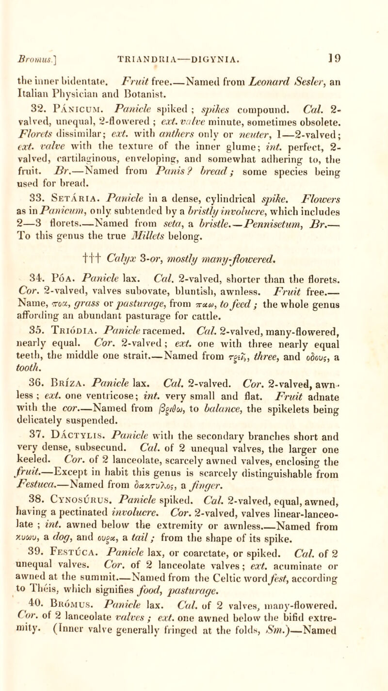 the inner bidentate. Fruit free.—Named from Leonard Sesler, an Italian Physician and Botanist. 32. Panicum. Panicle spiked ; spikes compound. Cal. 2- valved, unequal, 2-flowered ; ext. valve minute, sometimes obsolete. Florets dissimilar; ext. with anthers only or neuter, 1—2-valved; ext. valve with the texture of the inner glume; int. perfect, 2- valved, cartilaginous, enveloping, and somewhat adhering to, the fruit. Br.—Named from Panis? bread; some species being used for bread. 33. Setaria. Panicle in a dense, cylindrical spike. Flowers as in Panicum, oidy subtended by a bristly involucre, which includes 2—3 florets—Named from seta, a bristle.—Pennisetum, Br.— To this genus the true Millets belong. +T+ Calyx 3-or, mostly many-flowered. 34. Poa. Panicle lax. Cal. 2-valved, shorter than the florets. Cor. 2-valved, valves subovate, bluntish, awnless. Fruit free Name, -root, grass or pasturage, from ttxu, to feed ; the whole genus affording an abundant pasturage for cattle. 35. Triodia. Panicle racemed. Cal. 2-valved, many-flowered, nearly equal. Cor. 2-valved; ext. one with three nearly equal teeth, the middle one strait—Named from rft,, three, and odovg, a tooth. 36. Briza. Panicle lax. Cal. 2-valved. Cor. 2-valved, awn- less; ext. one ventricose; int. very small and flat. Fruit adnate with the cor—Named from (3pdu, to balance, the spikelets being delicately suspended. 37. Dactylis. Panicle with the secondary branches short and very dense, subsecund. Cal. of 2 unequal valves, the larger one keeled. Cor. of 2 lanceolate, scarcely awned valves, enclosing the fruit.—Except in habit this genus is scarcely distinguishable from Festuca.—Named from occ/.-v/.o;, a finger. 38. Cynosurus. Panicle spiked. Cal. 2-valved, equal, awned, having a pectinated involucre. Cor. 2-valved, valves linear-lanceo- late ; int. awned below the extremity or awnless.—Named from r.uuu, a dog, and ovoa, a teal; from the shape of its spike. 39. Festuca. Panicle lax, or coarctate, or spiked. Cal. of 2 unequal valves. Cor, of 2 lanceolate valves; ext. acuminate or awned at the summit—Named from the Celtic word fest, according to Theis, which signifies food, pasturage. 40. Bromus. Panicle lax. Cal. of 2 valves, many-flowered. ( or. of 2 lanceolate valves ; ext. one awned below the bifid extre- mity. (Inner valve generally fringed at the folds, Sm.)—Named