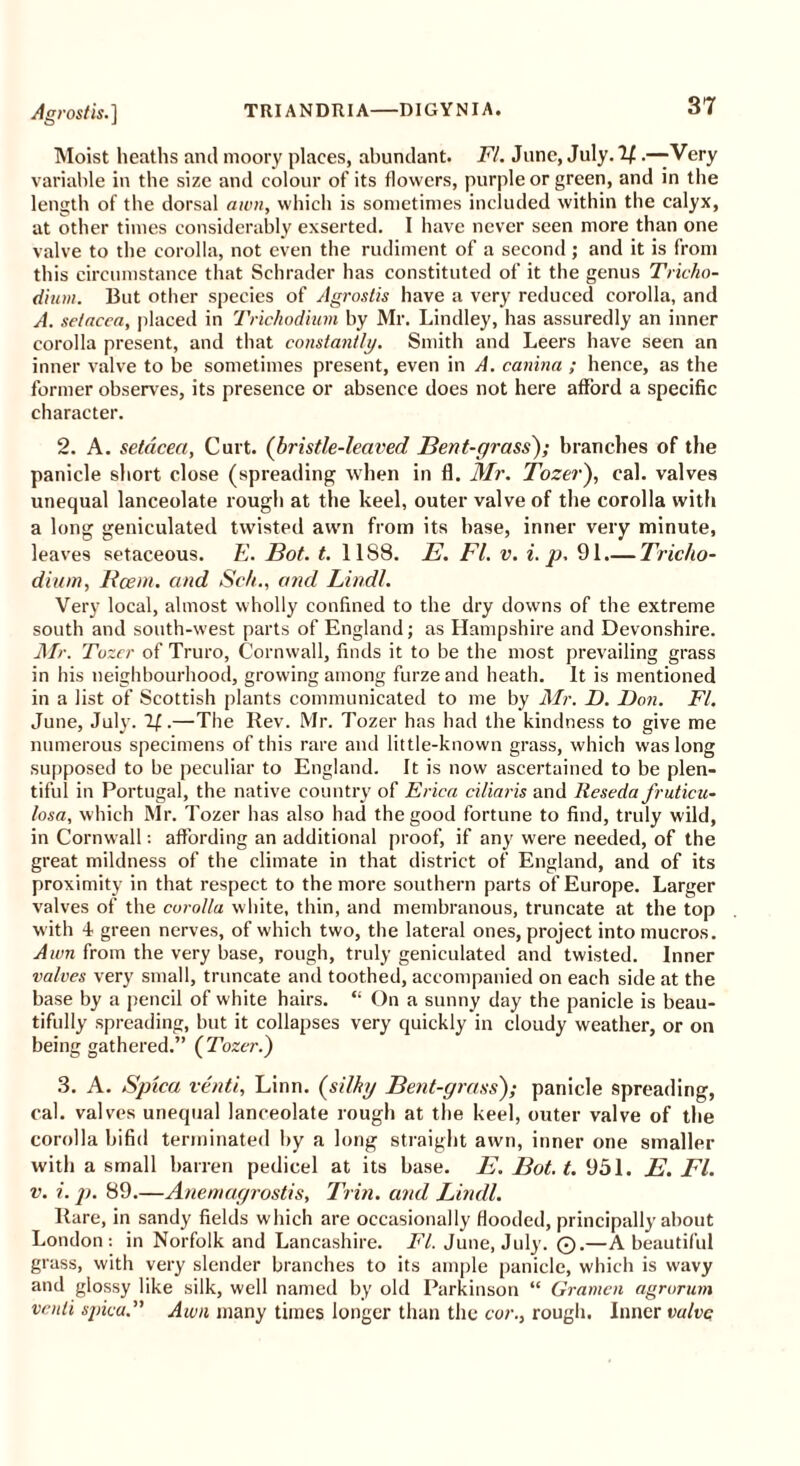 Moist heaths and moory places, abundant. Fl. June, July. .—Very variable in the size and colour of its flowers, purple or green, and in the length of the dorsal awn, which is sometimes included within the calyx, at other times considerably exserted. I have never seen more than one valve to the corolla, not even the rudiment of a second; and it is from this circumstance that Schrader has constituted of it the genus Tricho- dium. But other species of /Igrostis have a very reduced corolla, and A. setacea, placed in Trichodium by Mr. Lindley, has assuredly an inner corolla present, and that constantly. Smith and Leers have seen an inner valve to be sometimes present, even in A. canina ; hence, as the former observes, its presence or absence does not here afford a specific character. 2. A. setacea, Curt. (bristle-leaved Bent-grass); branches of the panicle short close (spreading when in fl. Mr. Tozer), cal. valves unequal lanceolate rough at the keel, outer valve of the corolla with a long geniculated twisted awn from its base, inner very minute, leaves setaceous. E. Bot. t. 11SS. E. Fl. v. i. p. 91.— Tricho- dium, Rcem. and Sch., and Lindl. Very local, almost wholly confined to the dry downs of the extreme south and south-west parts of England; as Hampshire and Devonshire. Mr. To zer of Truro, Cornwall, finds it to be the most prevailing grass in his neighbourhood, growing among furze and heath. It is mentioned in a list of Scottish plants communicated to me by Mr. D. Don. Fl. June, July. 2£.—The Rev. Mr. Tozer has had the kindness to give me numerous specimens of this rare and little-known grass, which was long supposed to be peculiar to England. It is now ascertained to be plen- tiful in Portugal, the native country of Erica ciliaris and Reseda fruticu- losa, which Mr. Tozer has also had the good fortune to find, truly wild, in Cornwall: affording an additional proof, if any were needed, of the great mildness of the climate in that district of England, and of its proximity in that respect to the more southern parts of Europe. Larger valves of the corolla white, thin, and membranous, truncate at the top with 4 green nerves, of which two, the lateral ones, project into mucros. Awn from the very base, rough, truly geniculated and twisted. Inner valves very small, truncate and toothed, accompanied on each side at the base by a pencil of white hairs. “ On a sunny day the panicle is beau- tifully spreading, but it collapses very quickly in cloudy weather, or on being gathered.” (Tozer.') 3. A. Spica vend, Linn, (silky Bent-grass); panicle spreading, cal. valves unequal lanceolate rough at the keel, outer valve of the corolla bifid terminated by a long straight awn, inner one smaller with a small barren pedicel at its base. E. Bot. t. 951. E. El. v. i. p. 89.—Anemagrostis, Trin. and Lindl. Rare, in sandy fields which are occasionally flooded, principally about London: in Norfolk and Lancashire. Fl. June, July. ©.—A beautiful grass, with very slender branches to its ample panicle, which is wavy and glossy like silk, well named by old Parkinson “ Gramen agrorum vcnli spica. Awn many times longer than the cor., rough. Inner valve