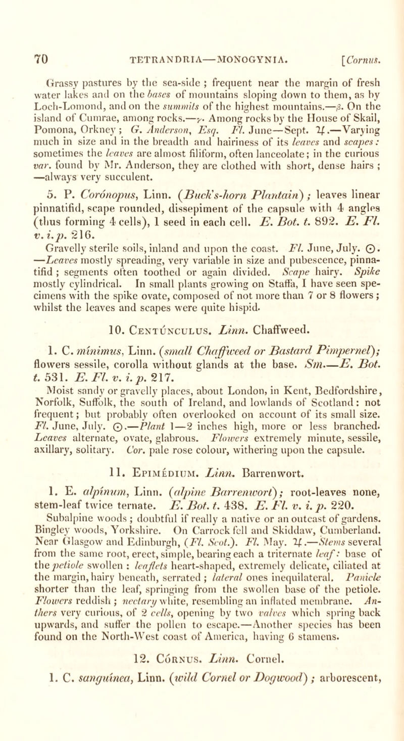 Grassy pastures by the sea-side ; frequent near the margin of fresh water lakes anil on theses of mountains sloping down to them, as by Loch-Lomond, and on the summits of the highest mountains.—p. On the island of Cumrae, among rocks.—y. Among rocks by the House of Skail, Pomona, Orkney ; G. Anderson, Esq. FI. June—Sept. 1(..—Varying much in size and in the breadth and hairiness of its leaves and scapes: sometimes the leaves are almost filiform, often lanceolate; in the curious var. found by Mr. Anderson, they are clothed with short, dense hairs ; —always very succulent. 5. P. Coronopus, Linn. (Buck's-liorn Plantain); leaves linear pinnatifid, scape rounded, dissepiment of the capsule with 4 angles (thus forming 4 cells), 1 seed in each cell. E. Bot. t. 892. E. FI. t’. i.p. 216. Gravelly sterile soils, inland and upon the coast. El. June, July. ©. —Leaves mostly spreading, very variable in size and pubescence, pinna- tifid ; segments often toothed or again divided. Scape hairy. Spike mostly cylindrical. In small plants growing on Staffa, I have seen spe- cimens with the spike ovate, composed of not more than 7 or 8 flowers; whilst the leaves and scapes were quite hispid. 10. Centunculus. Linn. ChafFweed. 1. C. minimus, Linn, (small Chafficeed or Bastard Pimpernel); flowers sessile, corolla without glands at the base. Sm—E. Bot. t. 531. E. El. v. i. p. 217. Moist sandy or gravelly places, about London, in Kent, Bedfordshire, Norfolk, Suffolk, the south of Ireland, and lowlands of Scotland: not frequent; but probably often overlooked on account of its small size. FI. June, July. ©.—Plant 1—2 inches high, more or less branched. Leaves alternate, ovate, glabrous. Flowers extremely minute, sessile, axillary, solitary. Cor. pale rose colour, withering upon the capsule. 11. Epimedium. Linn. Barrenwort. 1. E. alpinum, Linn, (alpine Barrenwort); root-leaves none, stem-leaf tw ice ternate. E. Bot. t. 438. E. El. v. i. p. 220. Subalpine woods ; doubtful if really a native or an outcast of gardens. Bingley woods, Yorkshire. On Carrock fell and Skiddaw, Cumberland. Near Glasgow and Edinburgh, (FI. Scot.). FI. May. If..—Stems several from the same root, erect, simple, bearing each a triternate leaf: base of the petiole swollen : leaflets heart-shaped, extremely delicate, ciliated at the margin, hairy beneath, serrated ; lateral ones inequilateral. Panicle shorter than the leaf, springing from the swollen base of the petiole. Flowers reddish; nectary white, resembling an inflated membrane. An- thers very curious, of 2 cells, opening by two valves which spring back upwards, and suffer the pollen to escape.—Another species has been found on the North-West coast of America, having G stamens. 12. Cornus. Linn. Cornel. 1. C. sanguinea, Linn, (wild Cornel or Dogwood) ; arborescent,