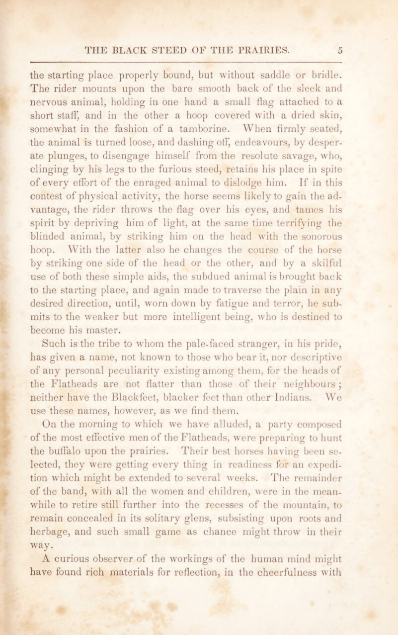 the starting place properly bound, but without saddle or bridle. The rider mounts upon the bare smooth back of the sleek and nervous animal, holding in one hand a small flag attached to a short staff, and in the other a hoop covered with a dried skin, somewhat in the fashion of a tamborine. When firmly seated, the animal is turned loose, and dashing off, endeavours, by desper- ate plunges, to disengage himself from the resolute savage, who, clinging by his legs to the furious steed, retains his place in spite of every effort of the enraged animal to dislodge him. If in this contest of physical activity, the horse seems likely to gain the ad- vantage, the rider throws the flag over his eyes, and tames his spirit by depriving him of light, at the same time terrifying the blinded animal, by striking him on the head with the sonorous hoop. With the latter also he changes the course of the horse by striking one side of the head or the other, and by a skilful use of both these simple aids, the subdued animal is brought back to the starting place, and again made to traverse the plain in any desired direction, until, worn down by fatigue and terror, he sub- mits to the weaker but more intelligent being, who is destined to become his master. Such is the tribe to whom the pale-faced stranger, in his pride, has given a name, not known to those who bear it, nor descriptive of any personal peculiarity existing among them, for the heads of the Flatheads are not flatter than those of their neighbours ; neither have the Blackfeet, blacker feet than other Indians. We use these names, however, as we find them. On the morning to which we have alluded, a party composed of the most effective men of the Flatheads, were preparing to hunt the buffalo upon the prairies. Their best horses having been se- lected, they were getting every thing in readiness for an expedi- tion which might be extended to several weeks. The remainder of the band, with all the women and children, were in the mean- while to retire still further into the recesses of the mountain, to remain concealed in its solitary glens, subsisting upon roots and herbage, and such small game as chance might throw in their way. A curious observer of the workings of the human mind might have found rich materials for reflection, in the cheerfulness with