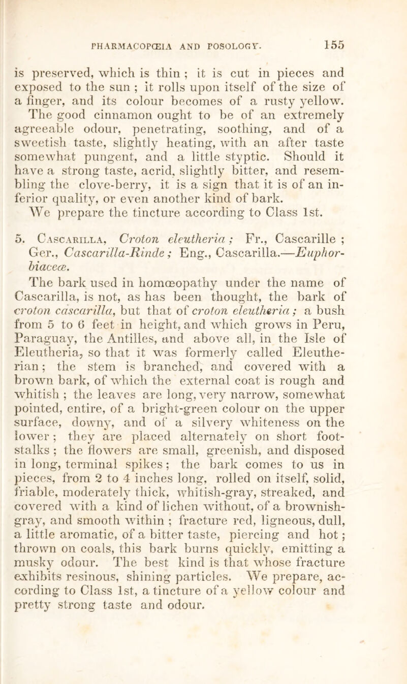 is preserved, which is thin ; it is cut in pieces and exposed to the sun ; it rolls upon itself of the size of a finger, and its colour becomes of a rusty yellow. The good cinnamon ought to be of an extremely agreeable odour, penetrating, soothing, and of a sweetish taste, slightly heating, with an after taste somewhat pungent, and a little styptic. Should it have a strong taste, acrid, slightly bitter, and resem- bling the clove-berry, it is a sign that it is of an in- ferior quality, or even another kind of bark. We prepare the tincture according to Class 1st. 5. Cascarilla, Croton eleutheria; Fr., Cascarille ; Ger., Cascarilla-Rinde ; Eng., Cascarilla.—Euphor- biacece. The bark used in homoeopathy under the name of Cascarilla, is not, as has been thought, the bark of croton cascarilla, but that of croton eleutheria; a bush from 5 to 6 feet in height, and which grows in Peru, Paraguay, the Antilles, and above all, in the Isle of Eleutheria, so that it was formerly called Eleuthe- rian; the stem is branched, and covered with a brown bark, of which the external coat is rough and whitish ; the leaves are long, very narrow, somewhat pointed, entire, of a bright-green colour on the upper surface, downy, and of a silvery 'whiteness on the lower; they are placed alternately on short foot- stalks ; the flowers are small, greenish, and disposed in long, terminal spikes; the bark comes to us in pieces, from 2 to 4 inches long, rolled on itself, solid, friable, moderately thick, whitish-gray, streaked, and covered with a kind of lichen without, of a brownish- gray, and smooth within ; fracture red, ligneous, dull, a little aromatic, of a bitter taste, piercing and hot; thrown on coals, this bark burns quickly, emitting a musky odour. The best kind is that whose fracture exhibits resinous, shining particles. We prepare, ac- cording to Class 1st, a tincture of a yellow colour and pretty strong taste and odour.