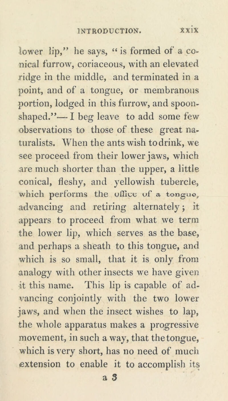 lower lip,” he says, “is formed of a co- nical farrow, coriaceous, with an elevated ridge in the middle, and terminated in a point, and of a tongue, or membranous portion, lodged in this furrow, and spoon- shaped.”— I beg leave to add some few observations to those of these great na- turalists. When the ants wish to drink, we see proceed from their lower jaws, which are much shorter than the upper, a little conical, fleshy, and yellowish tubercle, which performs the office of a tongue, advancing and retiring alternately ; it appears to proceed from what we term the lower lip, which serves as the base, and perhaps a sheath to this tongue, and which is so small, that it is only from analogy with other insects we have given it this name. This lip is capable of ad- vancing conjointly with the two lower jaws, and when the insect wishes to lap, the whole apparatus makes a progressive movement, in such a way, that the tongue, which is very short, has no need of much extension to enable it to accomplish its