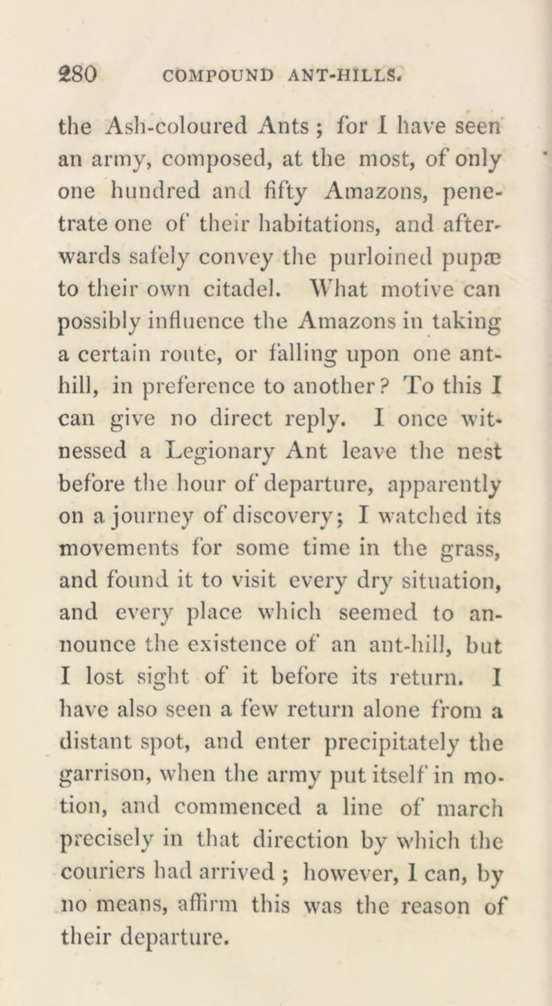 * the Ash-coloured Ants ; for I have seen an army, composed, at the most, of only one hundred and fifty Amazons, pene- trate one of their habitations, and after- wards safely convey the purloined pupae to their own citadel. What motive can possibly influence the Amazons in taking a certain route, or falling upon one ant- hill, in preference to another? To this I can give no direct reply. I once wit- nessed a Legionary Ant leave the nest before the hour of departure, apparently on a journey of discovery; I watched its movements for some time in the grass, and found it to visit every dry situation, and every place which seemed to an- nounce the existence of an ant-hill, but I lost sight of it before its return. I have also seen a few return alone from a distant spot, and enter precipitately the garrison, when the army put itself in mo- tion, and commenced a line of march precisely in that direction by which the couriers had arrived ; however, 1 can, by no means, affirm this was the reason of their departure.