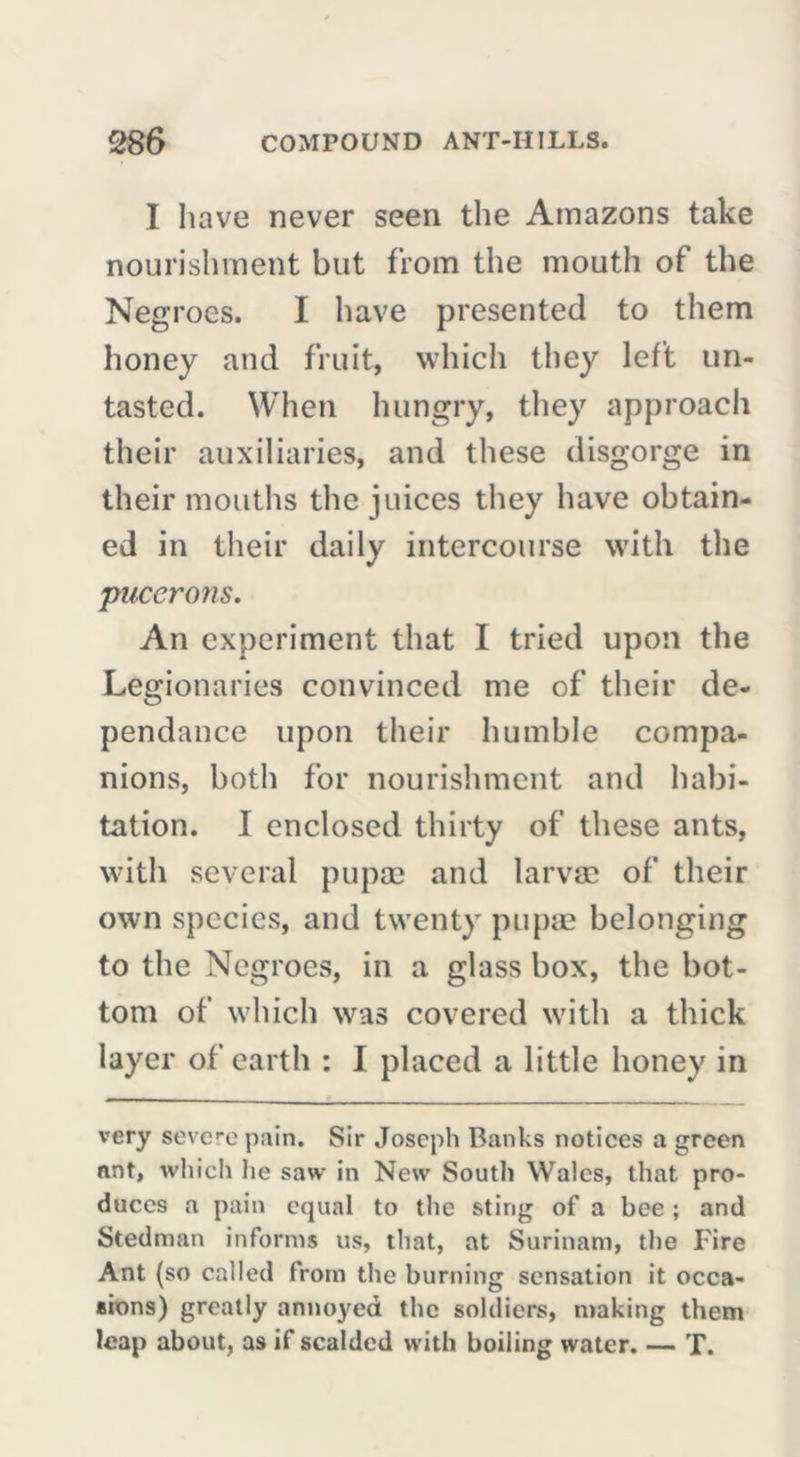 I have never seen the Amazons take nourishment but from the mouth of the Negroes. I have presented to them honey and fruit, which they left un- tasted. When hungry, they approach their auxiliaries, and these disgorge in their mouths the juices they have obtain- ed in their daily intercourse with the pucerons. An experiment that I tried upon the Legionaries convinced me of their dé- pendance upon their humble compa- nions, both for nourishment and habi- tation. I enclosed thirty of these ants, with several pupae and larvae of their own species, and twenty pupae belonging to the Negroes, in a glass box, the bot- tom of which was covered with a thick layer of earth : I placed a little honey in very severe pain. Sir Joseph Banks notices a green nnt, which he saw in New South Wales, that pro- duces a pain equal to the sting of a bee ; and Stedman informs us, that, at Surinam, the Fire Ant (so called from the burning sensation it occa- *ions) greatly annoyed the soldiers, making them leap about, as if scalded with boiling water. — T.