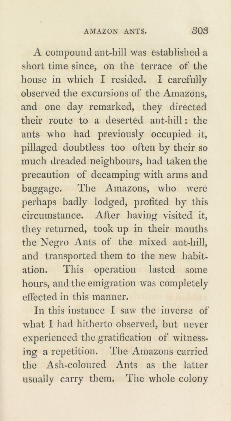 A compound ant-hill was established a short time since, on the terrace of the house in which I resided. I carefully observed the excursions of the Amazons, and one day remarked, they directed their route to a deserted ant-hill : the ants who had previously occupied it, pillaged doubtless too often by their so much dreaded neighbours, had taken the precaution of decamping with arms and baggage. The Amazons, who were perhaps badly lodged, profited by this circumstance. After having visited it, they returned, took up in their mouths the Negro Ants of the mixed ant-hill, and transported them to the new habit- ation. This operation lasted some hours, and the emigration was completely effected in this manner. In this instance I saw the inverse of what I had hitherto observed, but never experienced the gratification of witness- ing a repetition. The Amazons carried the Ash-coloured Ants as the latter usually carry them. The whole colony