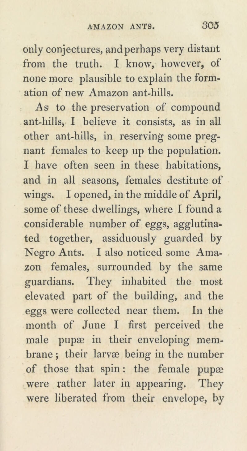 only conjectures, and perhaps very distant from the truth. I know, however, of none more plausible to explain the form- ation of new Amazon ant-hills. As to the preservation of compound ant-hills, I believe it consists, as in all other ant-hills, in reserving some preg- nant females to keep up the population. I have often seen in these habitations, and in all seasons, females destitute of wings. I opened, in the middle of April, some of these dwellings, where I found a considerable number of eggs, agglutina- ted together, assiduously guarded by Negro Ants. I also noticed some Ama- zon females, surrounded by the same guardians. They inhabited the most elevated part of the building, and the eggs were collected near them. In the month of June I first perceived the male pupæ in their enveloping mem- brane ; their larvae being in the number of those that spin : the female pupae were rather later in appearing. They were liberated from their envelope, by
