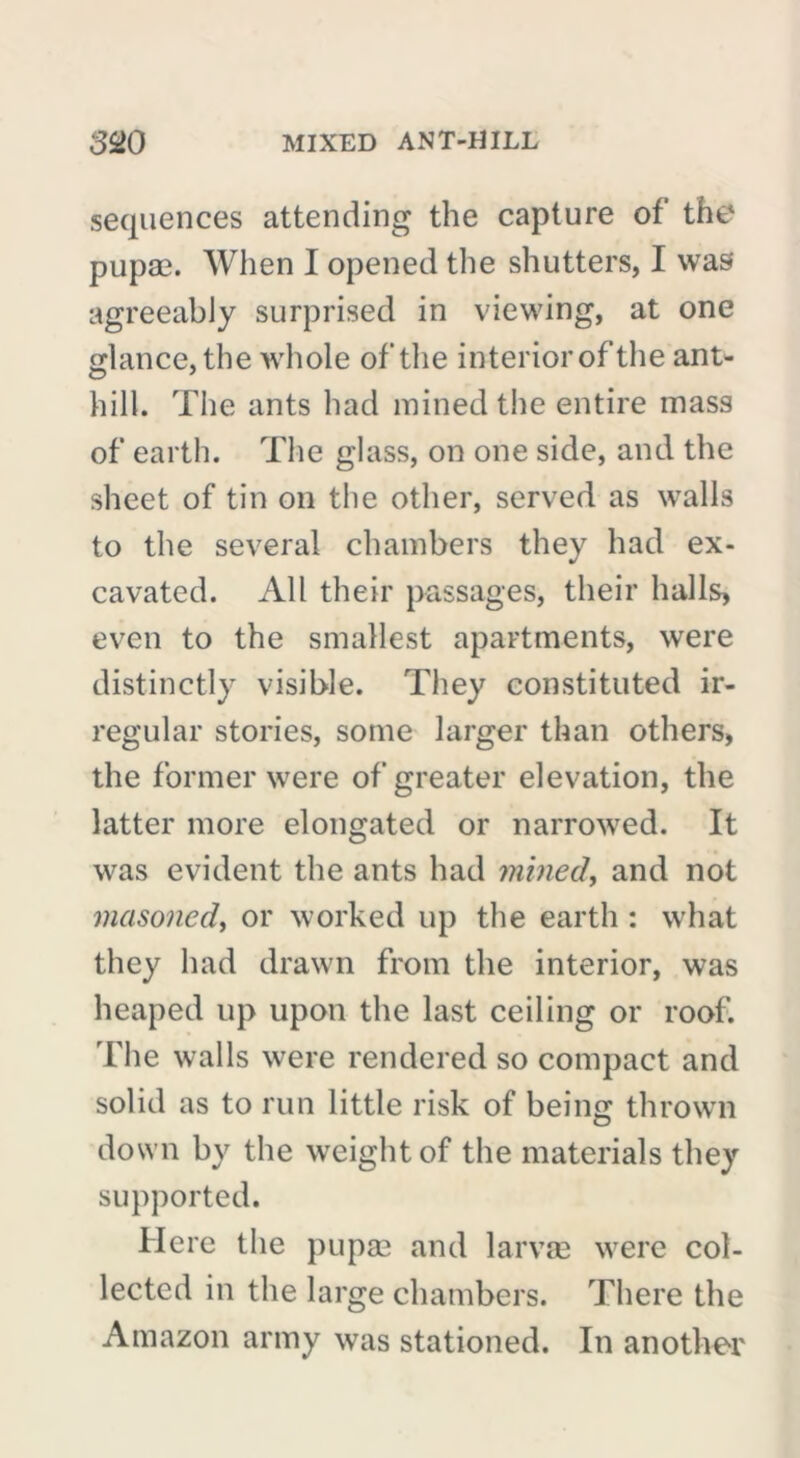 sequences attending the capture of the pupae. When I opened the shutters, I was agreeably surprised in viewing, at one glance, the whole of the interior of the ant- hill. The ants had mined the entire mass of earth. The glass, on one side, and the sheet of tin on the other, served as walls to the several chambers they had ex- cavated. All their passages, their halls, even to the smallest apartments, were distinctly visible. They constituted ir- regular stories, some larger than others, the former were of greater elevation, the latter more elongated or narrowed. It was evident the ants had mined, and not masoned, or worked up the earth : what they had drawn from the interior, was heaped up upon the last ceiling or roof. The walls were rendered so compact and solid as to run little risk of being thrown down by the weight of the materials they supported. Here the pupæ and larvae were col- lected in the large chambers. There the Amazon army was stationed. In another