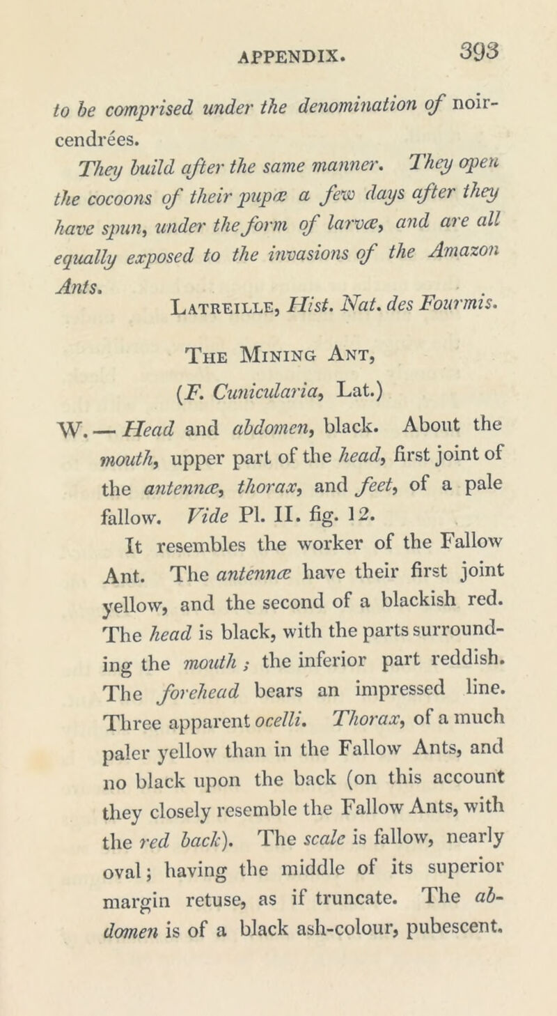 to be comprised under the denomination of noir- cendrées. They build after the same manner. They open the cocoons of their pupae a few days after they have spun, under the form of larvce, and ai c all equally exposed to the invasions of the Amazon Ants. Latreille, Hist. Nat. des Fourmis. The Mining Ant, {*• Cunicularia, Lat.) W. — Head and abdomen, black. About the imouth, upper part of the head, first joint of the antennae, thorax, and feet, of a pale fallow. Vide PI. II. fig- 12. It resembles the worker of the Fallow Ant. The antennae have their first joint yellow, and the second of a blackish red. The head is black, with the parts surround- ing the mouth ; the inferior part reddish. The forehead bears an impressed line. Three apparent ocelli. Thorax, of a much paler yellow than in the Fallow Ants, and no black upon the back (on this account they closely resemble the Fallow Ants, with the red bach). The scale is fallow, nearly oval ; having the middle of its superior margin retuse, as if truncate. The ab- domen is of a black ash-colour, pubescent.