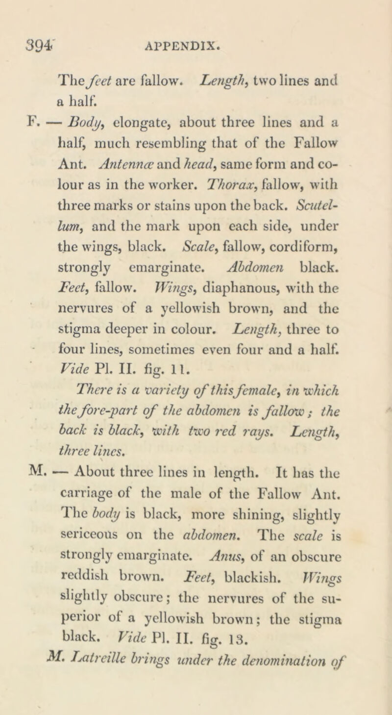 The feet are fallow. Lengthy two lines and a half. F. — Tody, elongate, about three lines and a half, much resembling that of the Fallow Ant. Antennœ and head, same form and co- lour as in the worker. Thorax, fallow, with three marks or stains upon the back. Seidel- lum, and the mark upon each side, under the wings, black. Scale, fallow, cordiform, strongly emarginate. Abdomen black. Feet, fallow. Wings, diaphanous, with the nervures of a yellowish brown, and the stigma deeper in colour. Length, three to four lines, sometimes even four and a half. Vide PL II. fig. 11. There is a variety of this female, in which the fore-part of the abdomen is fallow ; the back is black, with two red rays. Length, three lines. \ M. — About three lines in length. It has the carriage of the male of the Fallow Ant. rl he body is black, more shining, slightly sericeous on the abdomen. The scale is strongly emarginate. Anus, of an obscure reddish brown. Feet, blackish. Wings slightly obscure ; the nervures of the su- perior of a yellowish brown ; the stigma black. Vide PI. II. fig. 13. M. LatreiUe brings under the denomination of