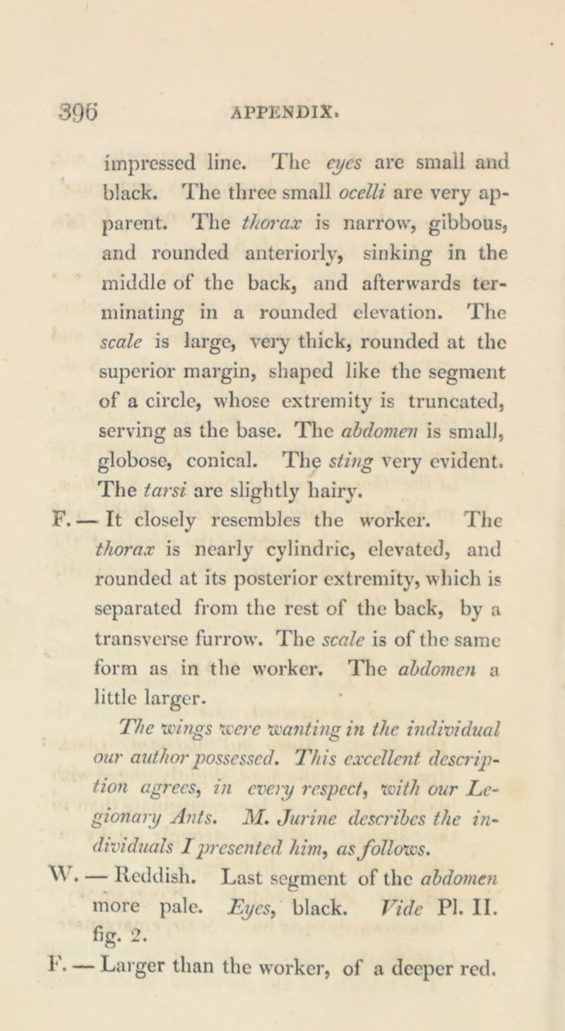 impressed line. The eyes are small and black. The three small ocelli are very ap- parent. The thorax is narrow, gibbous, and rounded anteriorly, sinking in the middle of the back, and afterwards ter- minating in a rounded elevation. The scale is large, very thick, rounded at the superior margin, shaped like the segment of a circle, whose extremity is truncated, serving as the base. The abdomen is small, globose, conical. The sting very evident. The tarsi are slightly hairy. F. — It closely resembles the worker. The thorax is nearly cylindric, elevated, and rounded at its posterior extremity, which is separated from the rest of the back, by a transverse furrow. The scale is of the same form as in the worker. The abdomen a little larger. The wings were wanting in the individual our author possessed. This excellent descrip- tion agrees, in every respect, with our le- gionary Ants. M. Jurine describes the in- dividuals I presented him, as follows. ^ • — Reddish. Last segment of the abdomen more pale. Eyes, black. Tide PI. II. fig. 2. h'- — Larger than the worker, ot a deeper red.