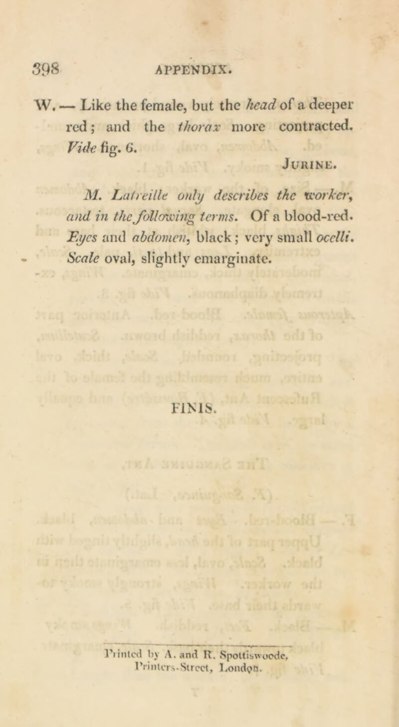 . — Like the female, but the head of a deeper red ; and the thorax more contracted. Vide fig. 6. J URINE. M. Lai mile only describes the Xcorker, and in the'following terms. Of a blood-red. Eyes and abdomen, black ; very small ocelli. Scale oval, slightly emarginatc. FINIS. 1'»illicit by A. and R. Spottiswoodc, Printers.Street, Ponded.