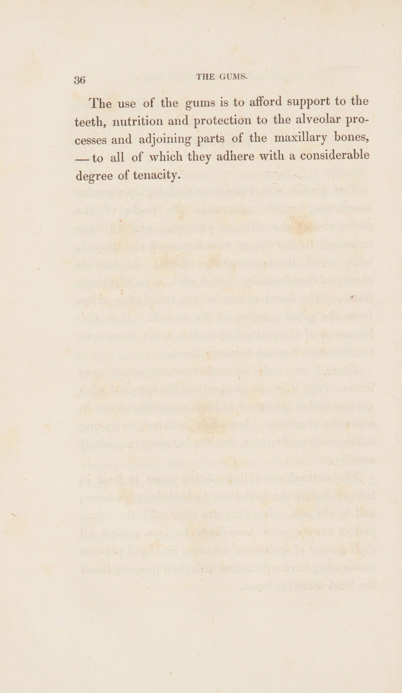The use of the gums is to afford support to the teeth, nutrition and protection to the alveolar pro- cesses and adjoining parts of the maxillary bones, —to all of which they adhere with a considerable degree of tenacity.