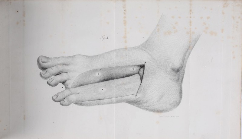 » , j» - - (mr '■ vtrn jj~ 7 y, ■ J-