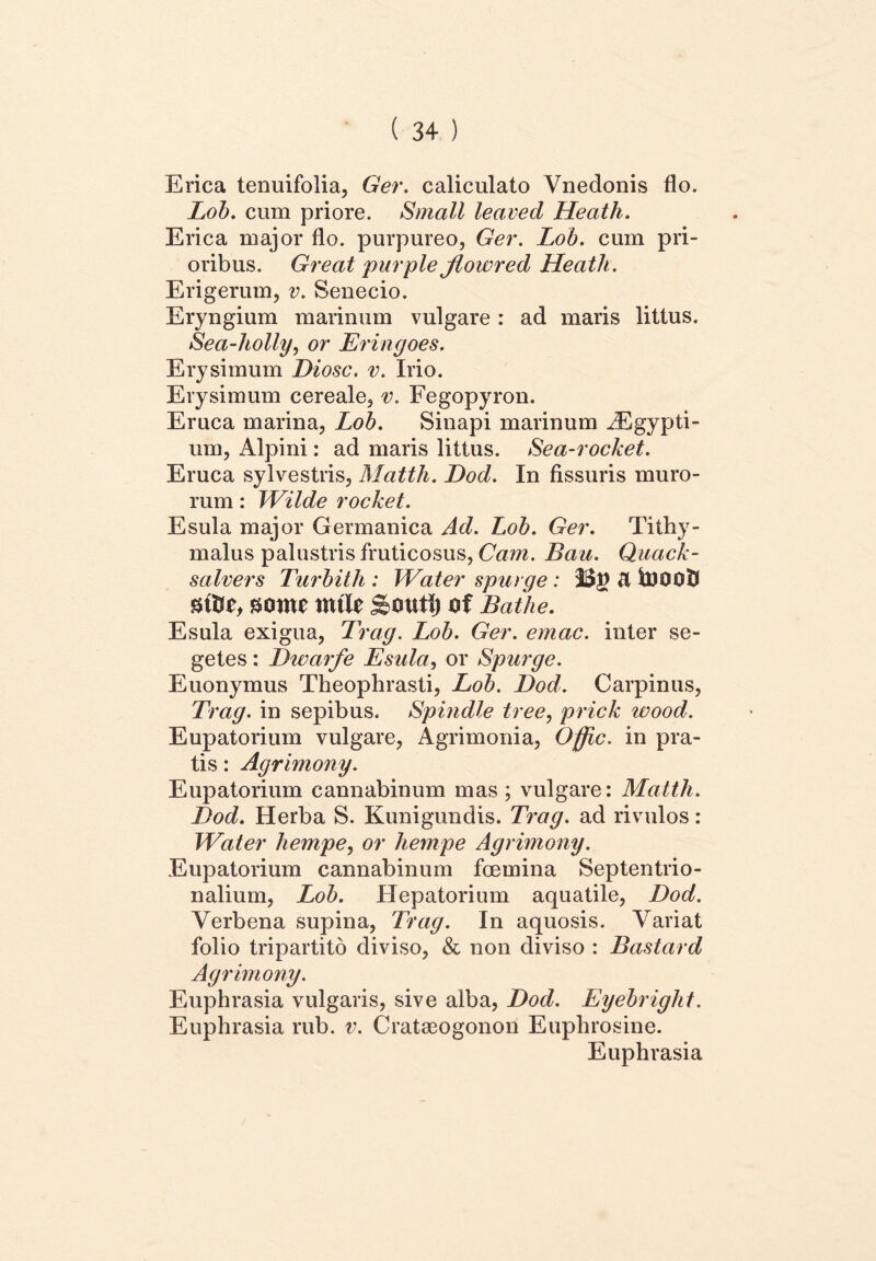 Erica tenuifolia, Ger. caliculato Vnedonis flo. Lob. cum priore. Small leavecl Heath. Erica major flo. purpureo, Ger. Lob. cum pri- oribus. Great purple Jlowred Heath. Erigerum, v. Senecio. Eryngium marinum vulgare : ad maris littus. Sea-holly, or Eringoes. Erysimum Diosc. v. Irio. Erysimum cereale, v. Fegopyron. Eruca marina, Lob. Sinapi marinum iEgypti- um, Alpini: ad maris littus. Sea-rocket. Eruca sylvestris, Matth. Dod. In fissuris muro- rum : Wilde rocket. Esula major Germanica Ad. Lob. Ger. Tithy- malus palustris fruticosus, Cam. Bau. Quack- salvers Turbith : Water spurge : 331) & hJOOtJ sttfib sonte nttle Soutfj of Bathe. Esula exigua, Trag. Lob. Ger. emac. inter se- getes : Dwarfe Esula, or Spurge. Euonymus Theophrasti, Lob. Dod. Carpinus, Trag. in sepibus. Spindle tree, prick wood. Eupatorium vulgare, Agrimonia, Offic. in pra- tis : Agrimony. Eupatorium cannabinum mas; vulgare: Matth. Dod. Herba S. Kunigundis. Trag. ad rivulos: Water hempe, or hempe Agrimony. Eupatorium cannabinum foemina Septentrio- nalium, Lob. Hepatorium aquatile, Dod. Verbena supina, Trag. In aquosis. Variat folio tripartito diviso, & non diviso : Bastard Agrimony. Euphrasia vulgaris, sive alba, Dod. Eyebright. Euphrasia rub. v. Crata30gonon Euphrosine. Euphrasia