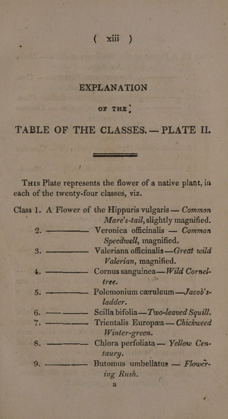 EXPLANATION OF THE , TABLE OF THE CLASSES. — PLATE II. Tuts Plate represents the flower of a native plant, in each of the twenty-four classes, viz. Class 1, A Flower of the Hippuris vulgaris — Common Mare’s-tail, slightly magnified. 2, ——_—_——_— Veronica officinalis — Common Speedwell, magnified. 3, ——————._ Valeriana officinalis —Great wild jet Valerian, magnified. 4, ——————_ Cornus Sigh oe de: Cornel- tree. 5. —————. Polemonium ceruleum—Jacod’s- ladder. 6. ————— Scilla bifolia— T'wo-leaved Squill. 7. —————. Trientalis Europea — Chickweed | Winter-green. 8. ————-——. Chlora perfoliata — Yellow Cen- taury. 9, —___—— Butomus’ umbellatus — Flower- ing Rush. ) ha